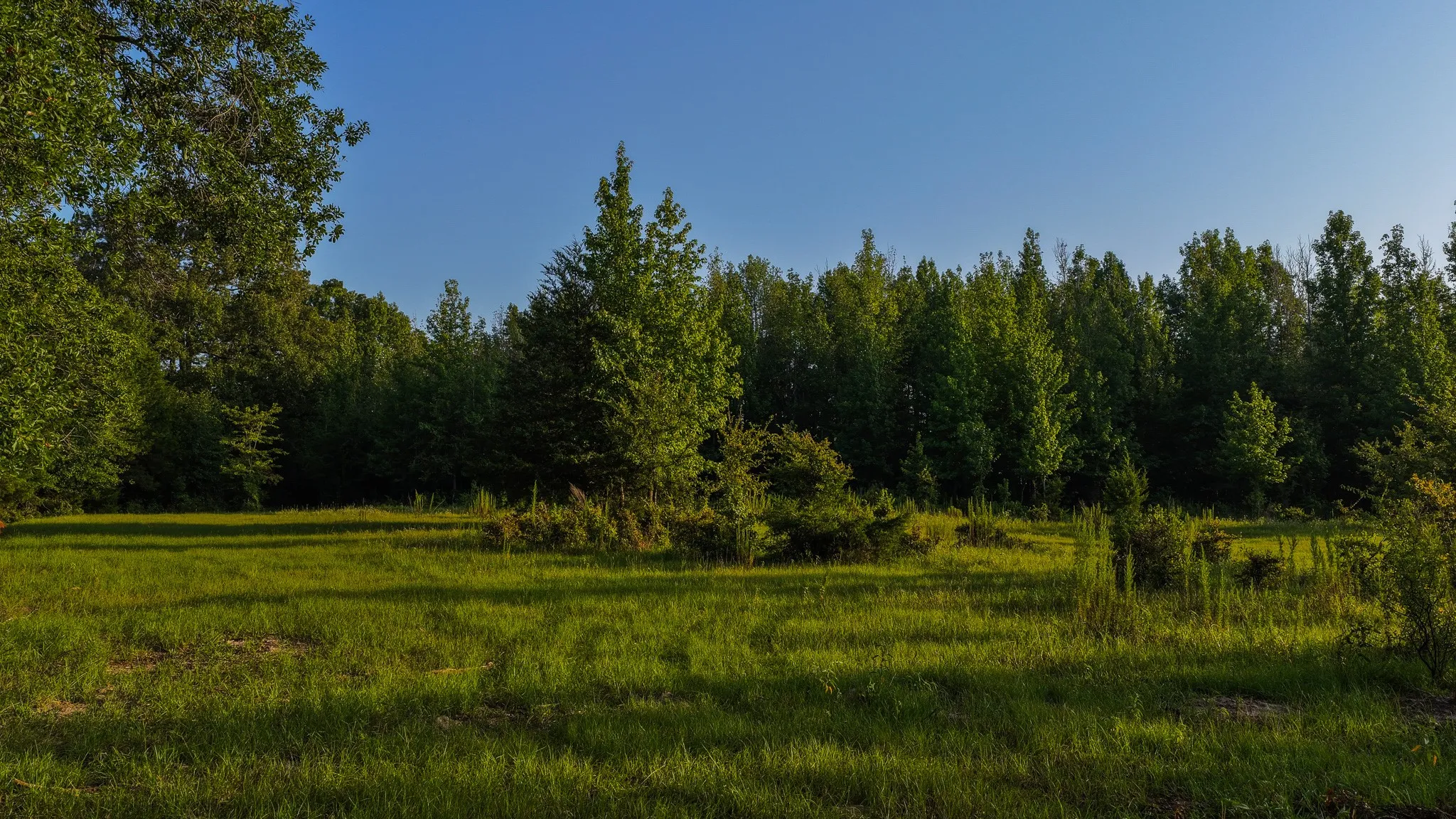 Ranch For Sale in Van Zandt County , 0000 VZ County Road 4912, Ben Wheeler, Texas 75754, 0, 0, Garage spaces, 0 Sqft, built in 0, Price $1,550,000, mls#21344972, Real Estate Agent in Ben Wheeler, Homes For Sale in Van Zandt county, Homes For Sale in Ben Wheeler, Realtor in Ben Wheeler Texas, Real Estate Brokerage Independent Realty Texas, Luminita Cordes Realtor