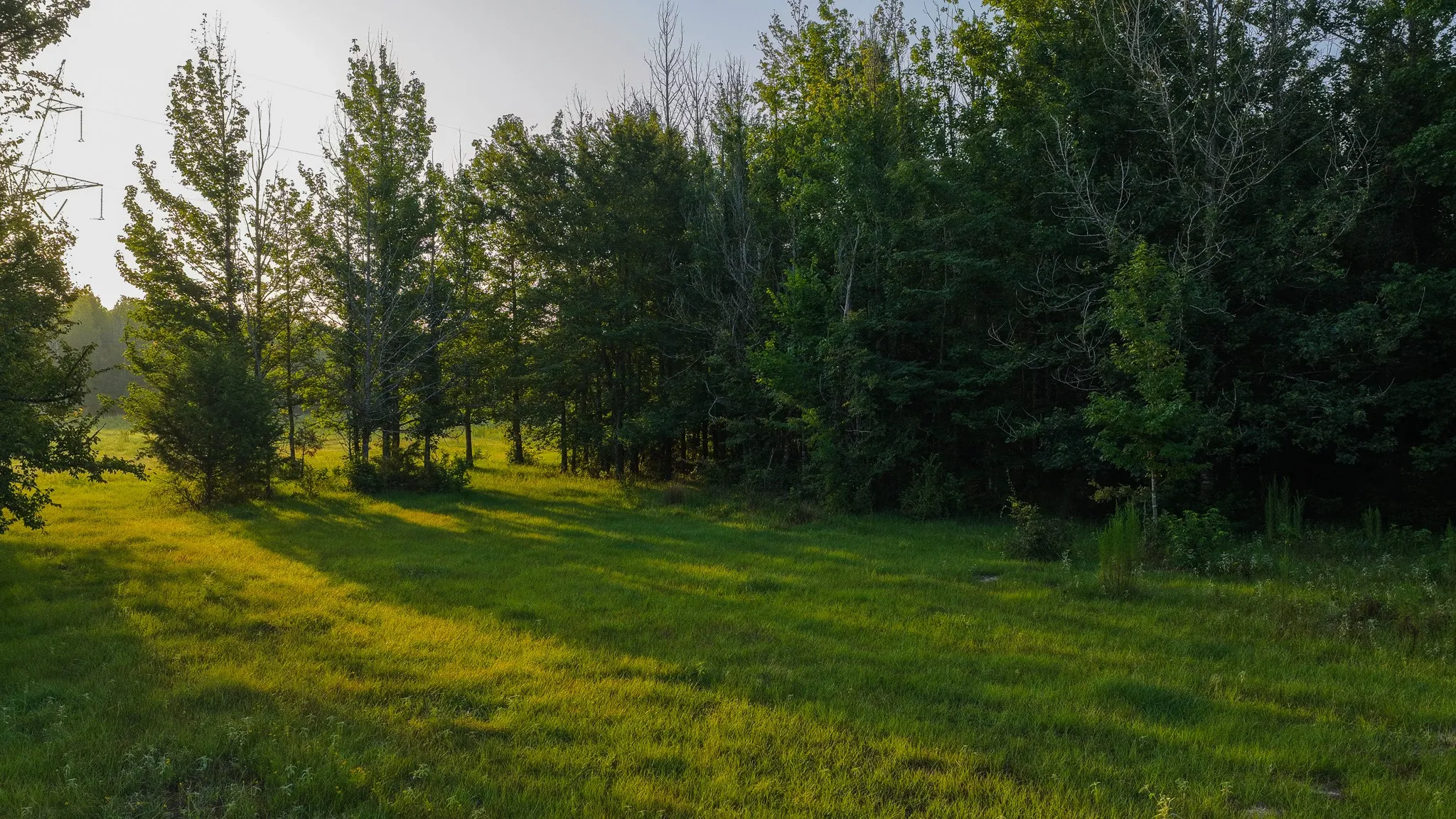 Ranch For Sale in Van Zandt County , 0000 VZ County Road 4912, Ben Wheeler, Texas 75754, 0, 0, Garage spaces, 0 Sqft, built in 0, Price $1,550,000, mls#21344972, Real Estate Agent in Ben Wheeler, Homes For Sale in Van Zandt county, Homes For Sale in Ben Wheeler, Realtor in Ben Wheeler Texas, Real Estate Brokerage Independent Realty Texas, Luminita Cordes Realtor