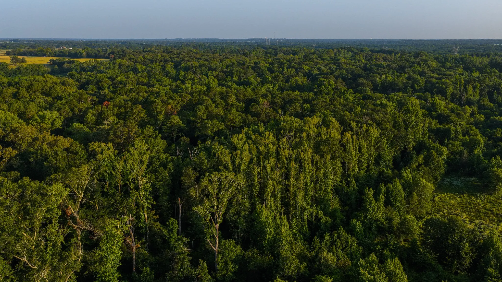 Ranch For Sale in Van Zandt County , 0000 VZ County Road 4912, Ben Wheeler, Texas 75754, 0, 0, Garage spaces, 0 Sqft, built in 0, Price $1,550,000, mls#21344972, Real Estate Agent in Ben Wheeler, Homes For Sale in Van Zandt county, Homes For Sale in Ben Wheeler, Realtor in Ben Wheeler Texas, Real Estate Brokerage Independent Realty Texas, Luminita Cordes Realtor