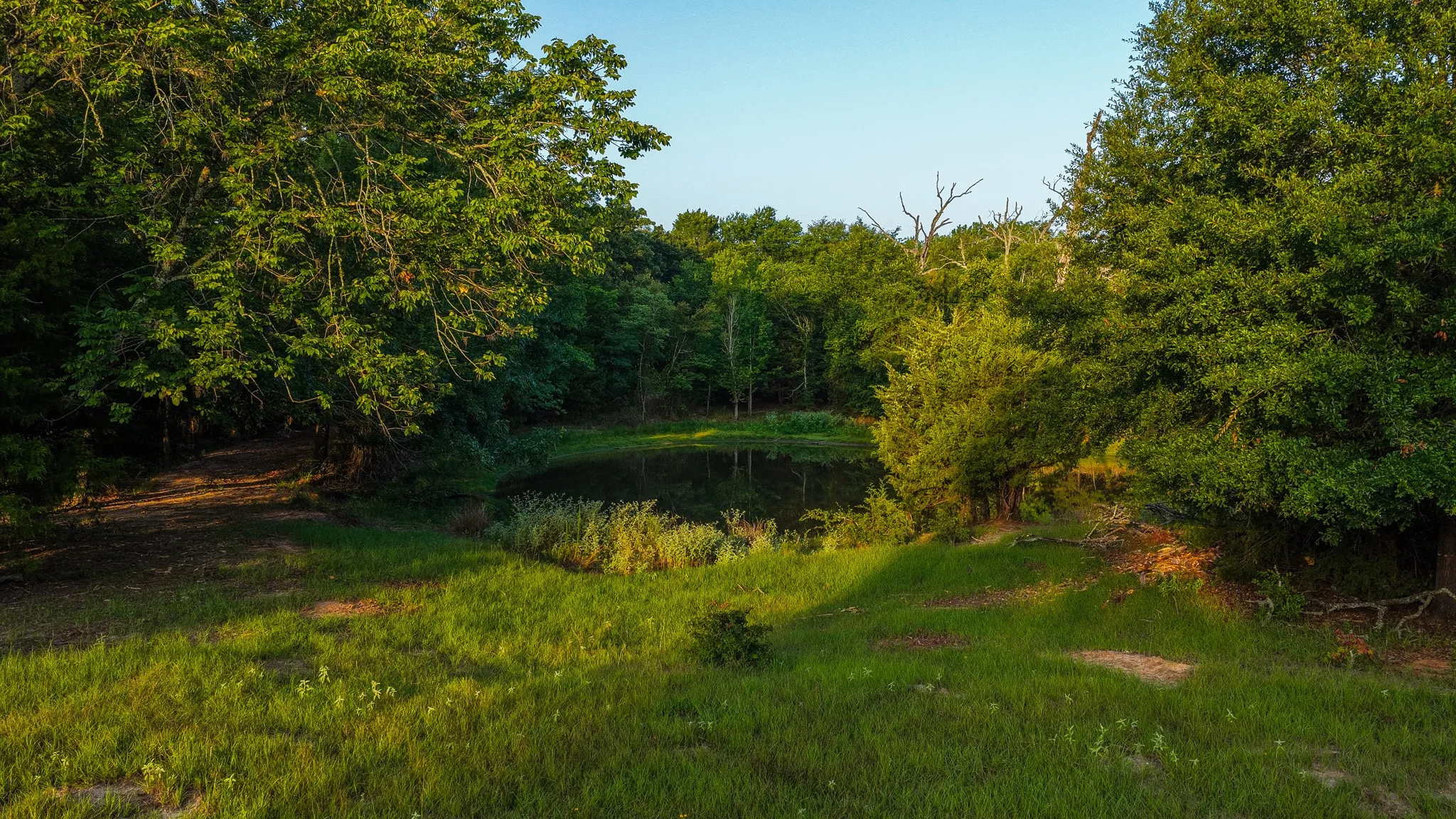 Ranch For Sale in Van Zandt County , 0000 VZ County Road 4912, Ben Wheeler, Texas 75754, 0, 0, Garage spaces, 0 Sqft, built in 0, Price $1,550,000, mls#21344972, Real Estate Agent in Ben Wheeler, Homes For Sale in Van Zandt county, Homes For Sale in Ben Wheeler, Realtor in Ben Wheeler Texas, Real Estate Brokerage Independent Realty Texas, Luminita Cordes Realtor