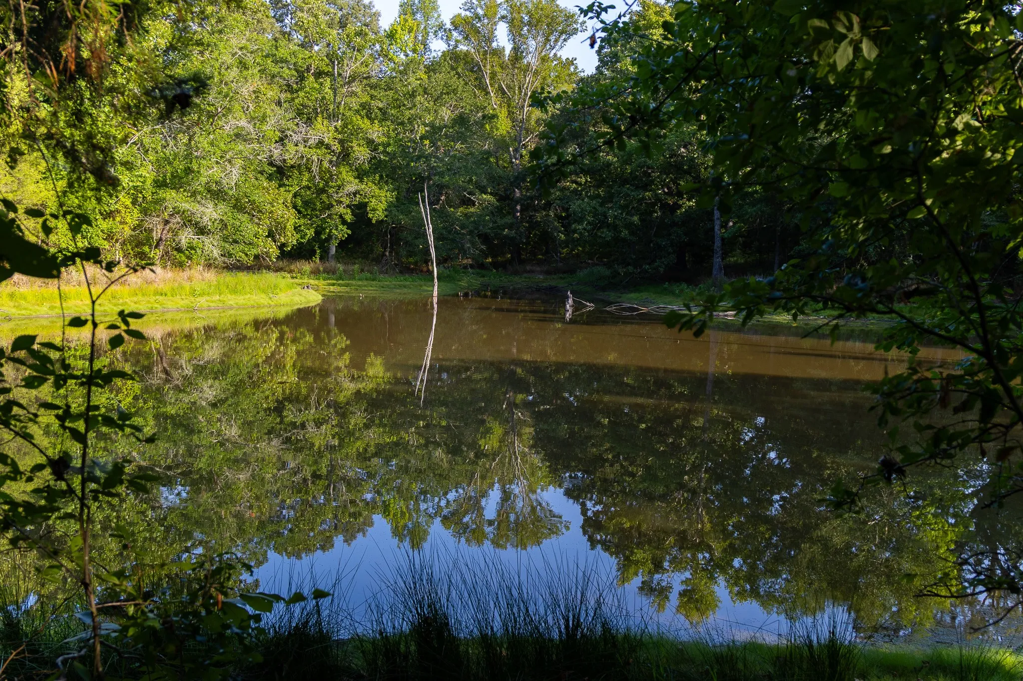 Ranch For Sale in Van Zandt County , 0000 VZ County Road 4912, Ben Wheeler, Texas 75754, 0, 0, Garage spaces, 0 Sqft, built in 0, Price $1,550,000, mls#21344972, Real Estate Agent in Ben Wheeler, Homes For Sale in Van Zandt county, Homes For Sale in Ben Wheeler, Realtor in Ben Wheeler Texas, Real Estate Brokerage Independent Realty Texas, Luminita Cordes Realtor