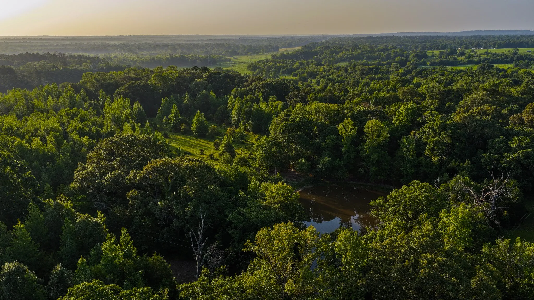 Ranch For Sale in Van Zandt County , 0000 VZ County Road 4912, Ben Wheeler, Texas 75754, 0, 0, Garage spaces, 0 Sqft, built in 0, Price $1,550,000, mls#21344972, Real Estate Agent in Ben Wheeler, Homes For Sale in Van Zandt county, Homes For Sale in Ben Wheeler, Realtor in Ben Wheeler Texas, Real Estate Brokerage Independent Realty Texas, Luminita Cordes Realtor