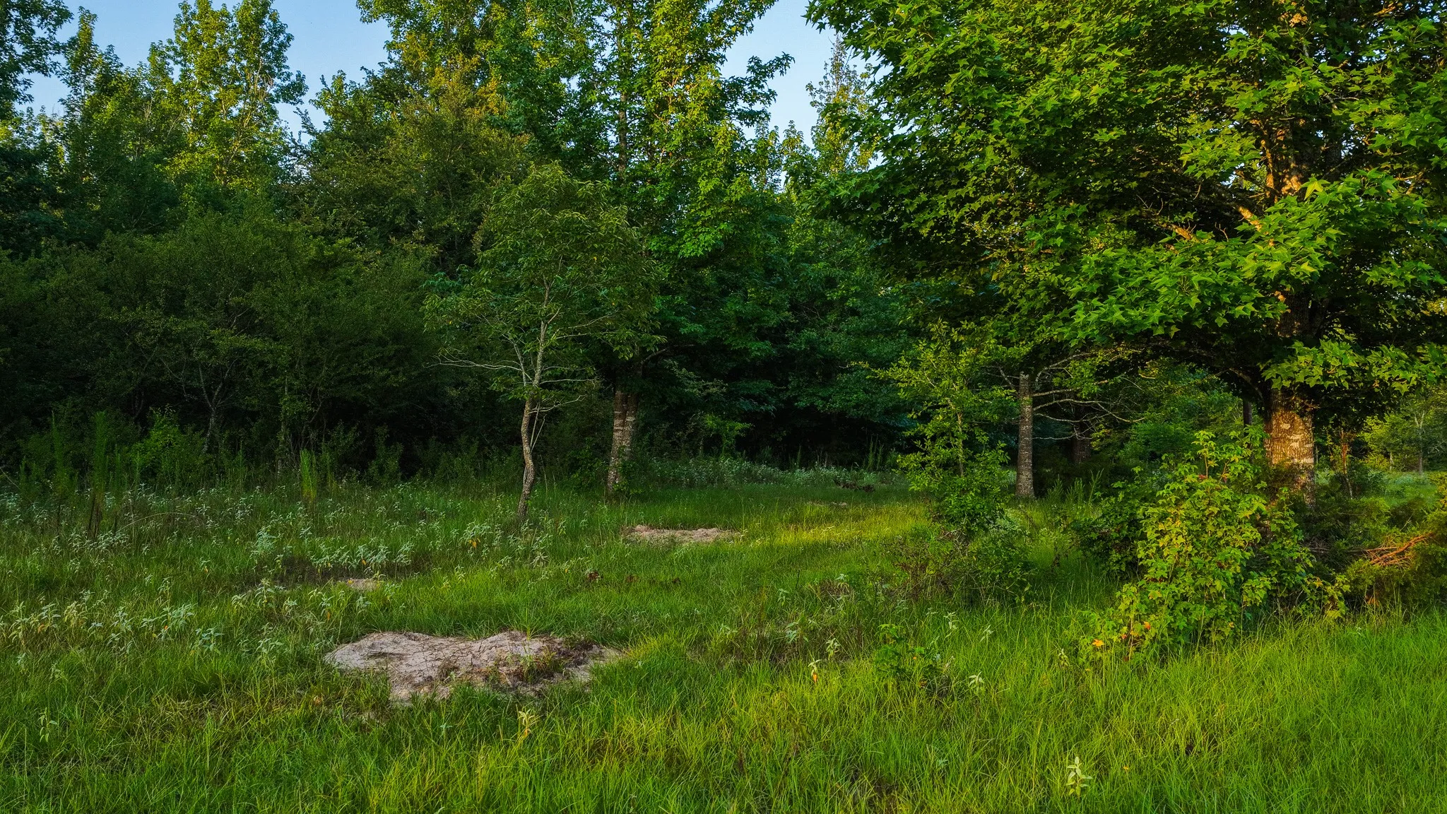 Ranch For Sale in Van Zandt County , 0000 VZ County Road 4912, Ben Wheeler, Texas 75754, 0, 0, Garage spaces, 0 Sqft, built in 0, Price $1,550,000, mls#21344972, Real Estate Agent in Ben Wheeler, Homes For Sale in Van Zandt county, Homes For Sale in Ben Wheeler, Realtor in Ben Wheeler Texas, Real Estate Brokerage Independent Realty Texas, Luminita Cordes Realtor