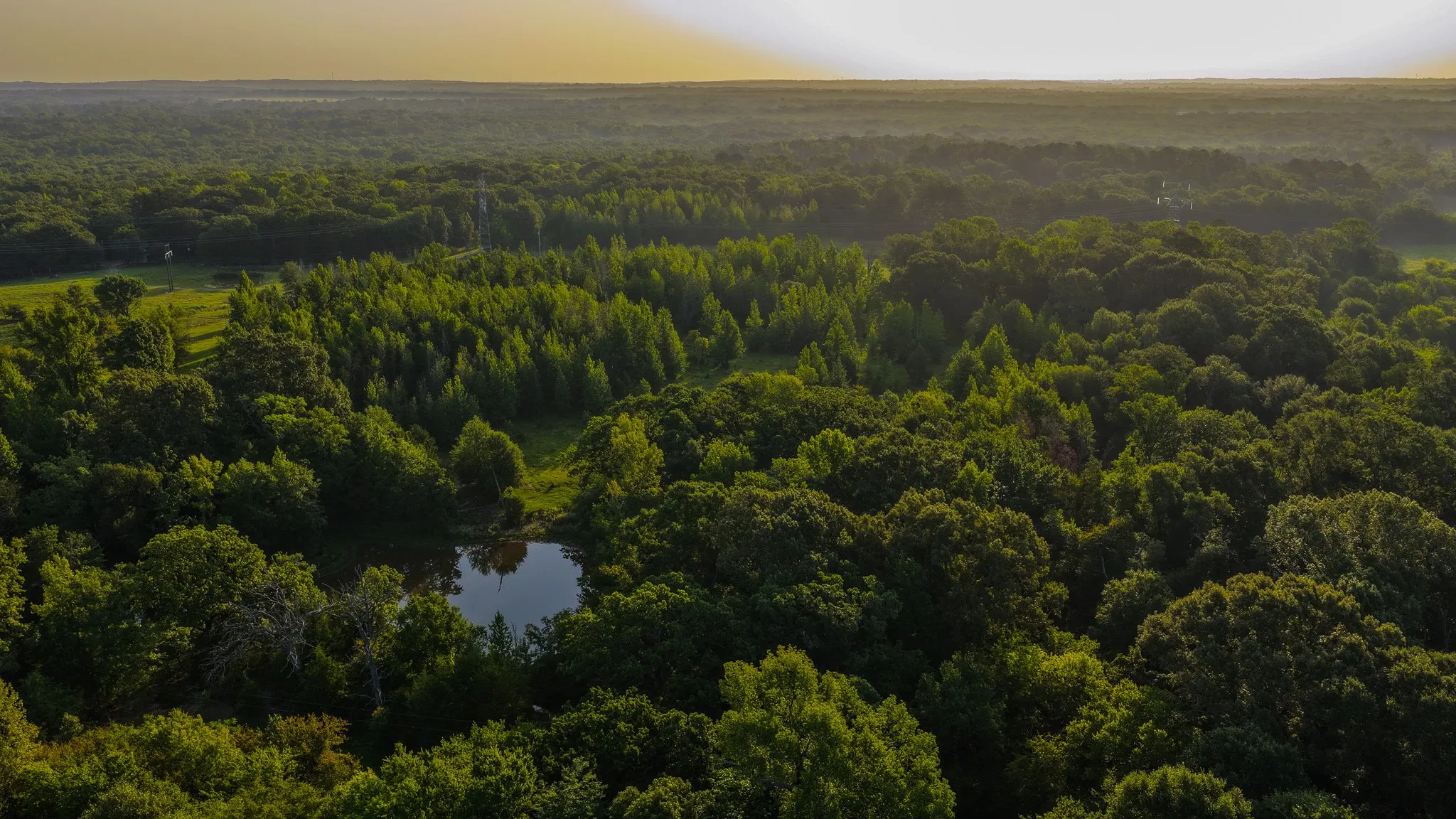 Ranch For Sale in Van Zandt County , 0000 VZ County Road 4912, Ben Wheeler, Texas 75754, 0, 0, Garage spaces, 0 Sqft, built in 0, Price $1,550,000, mls#21344972, Real Estate Agent in Ben Wheeler, Homes For Sale in Van Zandt county, Homes For Sale in Ben Wheeler, Realtor in Ben Wheeler Texas, Real Estate Brokerage Independent Realty Texas, Luminita Cordes Realtor