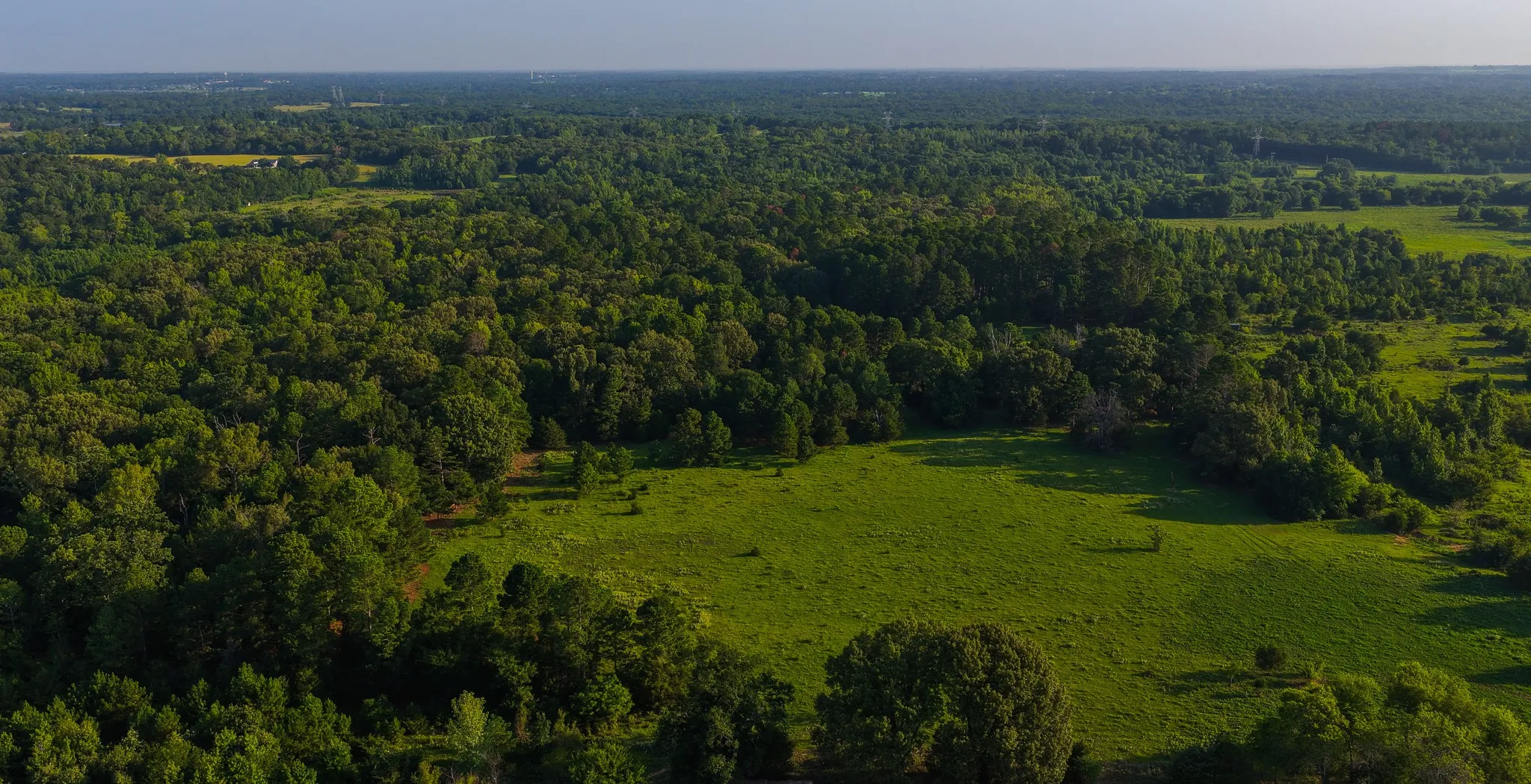 Ranch For Sale in Van Zandt County , 0000 VZ County Road 4912, Ben Wheeler, Texas 75754, 0, 0, Garage spaces, 0 Sqft, built in 0, Price $1,550,000, mls#21344972, Real Estate Agent in Ben Wheeler, Homes For Sale in Van Zandt county, Homes For Sale in Ben Wheeler, Realtor in Ben Wheeler Texas, Real Estate Brokerage Independent Realty Texas, Luminita Cordes Realtor
