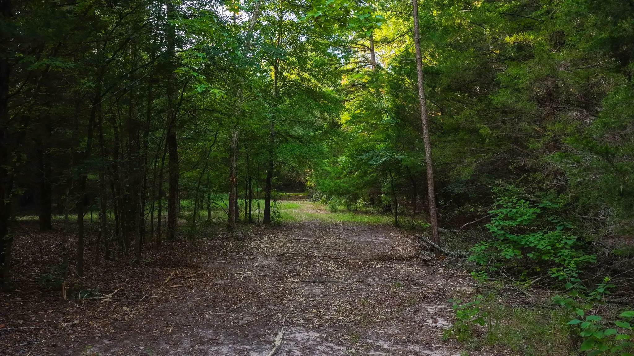 Ranch For Sale in Van Zandt County , 0000 VZ County Road 4912, Ben Wheeler, Texas 75754, 0, 0, Garage spaces, 0 Sqft, built in 0, Price $1,550,000, mls#21344972, Real Estate Agent in Ben Wheeler, Homes For Sale in Van Zandt county, Homes For Sale in Ben Wheeler, Realtor in Ben Wheeler Texas, Real Estate Brokerage Independent Realty Texas, Luminita Cordes Realtor