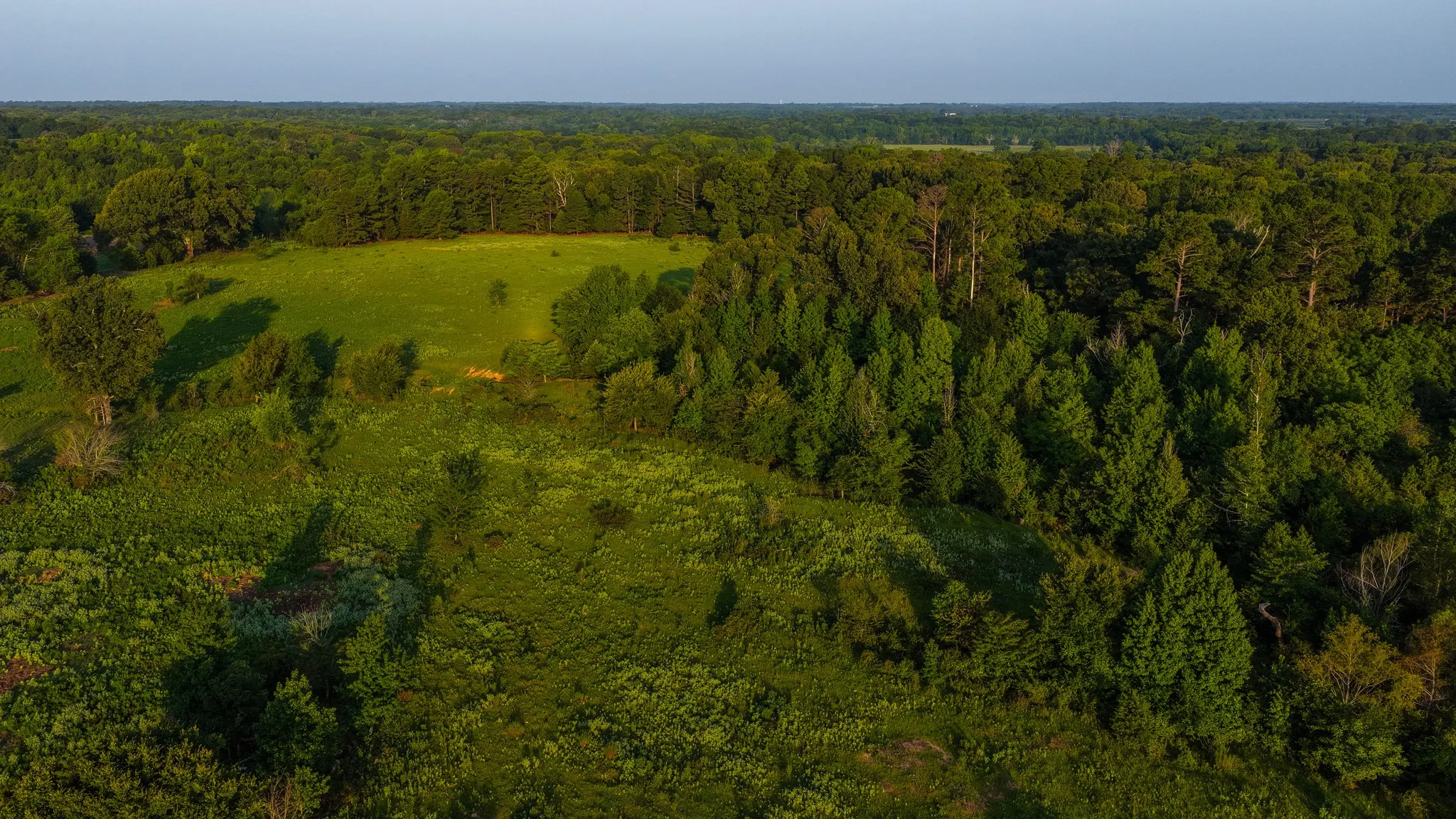 Ranch For Sale in Van Zandt County , 0000 VZ County Road 4912, Ben Wheeler, Texas 75754, 0, 0, Garage spaces, 0 Sqft, built in 0, Price $1,550,000, mls#21344972, Real Estate Agent in Ben Wheeler, Homes For Sale in Van Zandt county, Homes For Sale in Ben Wheeler, Realtor in Ben Wheeler Texas, Real Estate Brokerage Independent Realty Texas, Luminita Cordes Realtor