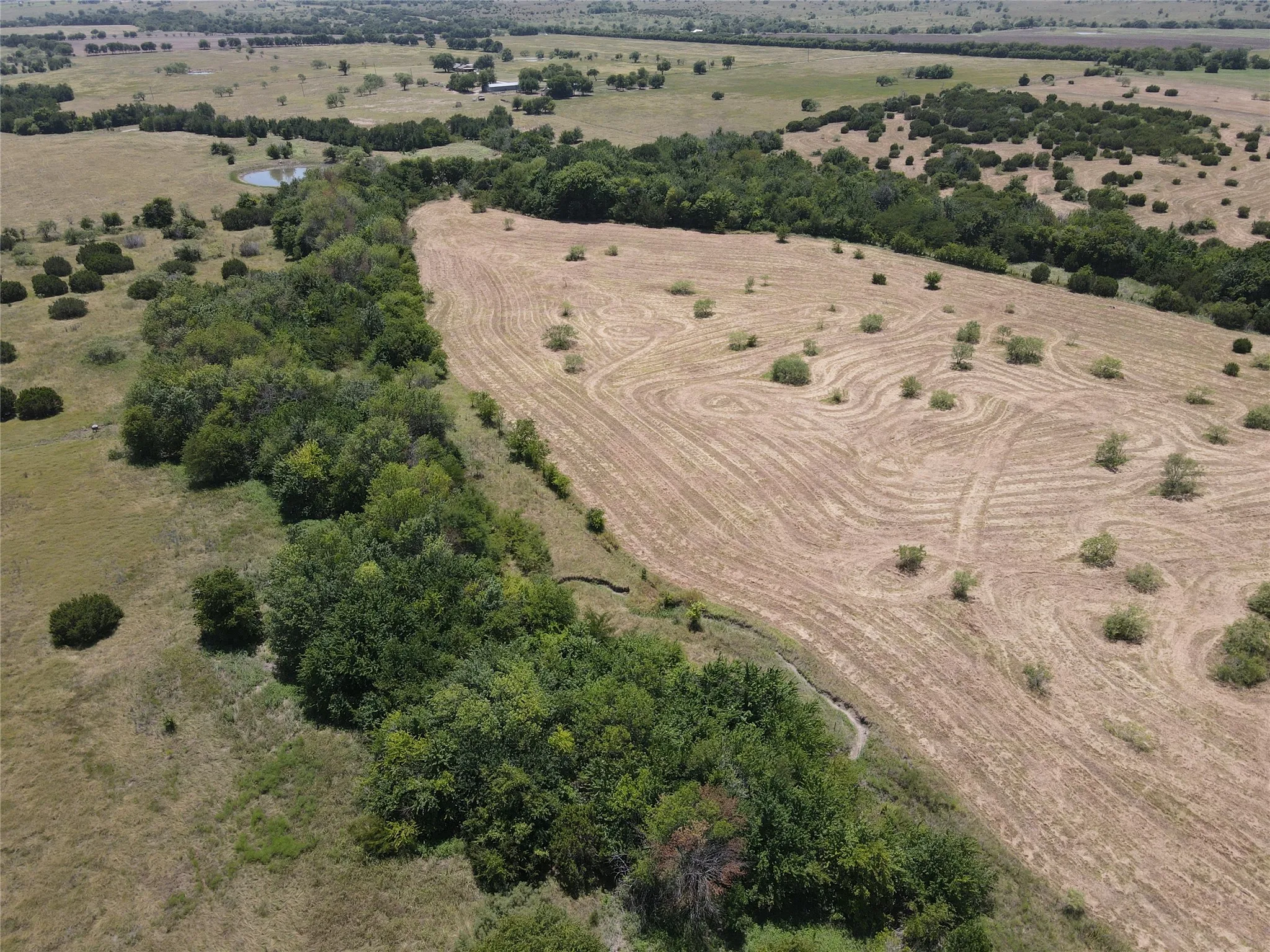 Unimproved Land For Sale in Johnson County , 3757 FM 1434 Lot 1, Cleburne, Texas 76033, 0, 0, Garage spaces, 0 Sqft, built in 0, mls#21331471, Real Estate Agent in Cleburne, Homes For Sale in Johnson county, Homes For Sale in Cleburne, Realtor in Cleburne Texas, Real Estate Brokerage Independent Realty Texas, Luminita Cordes Realtor