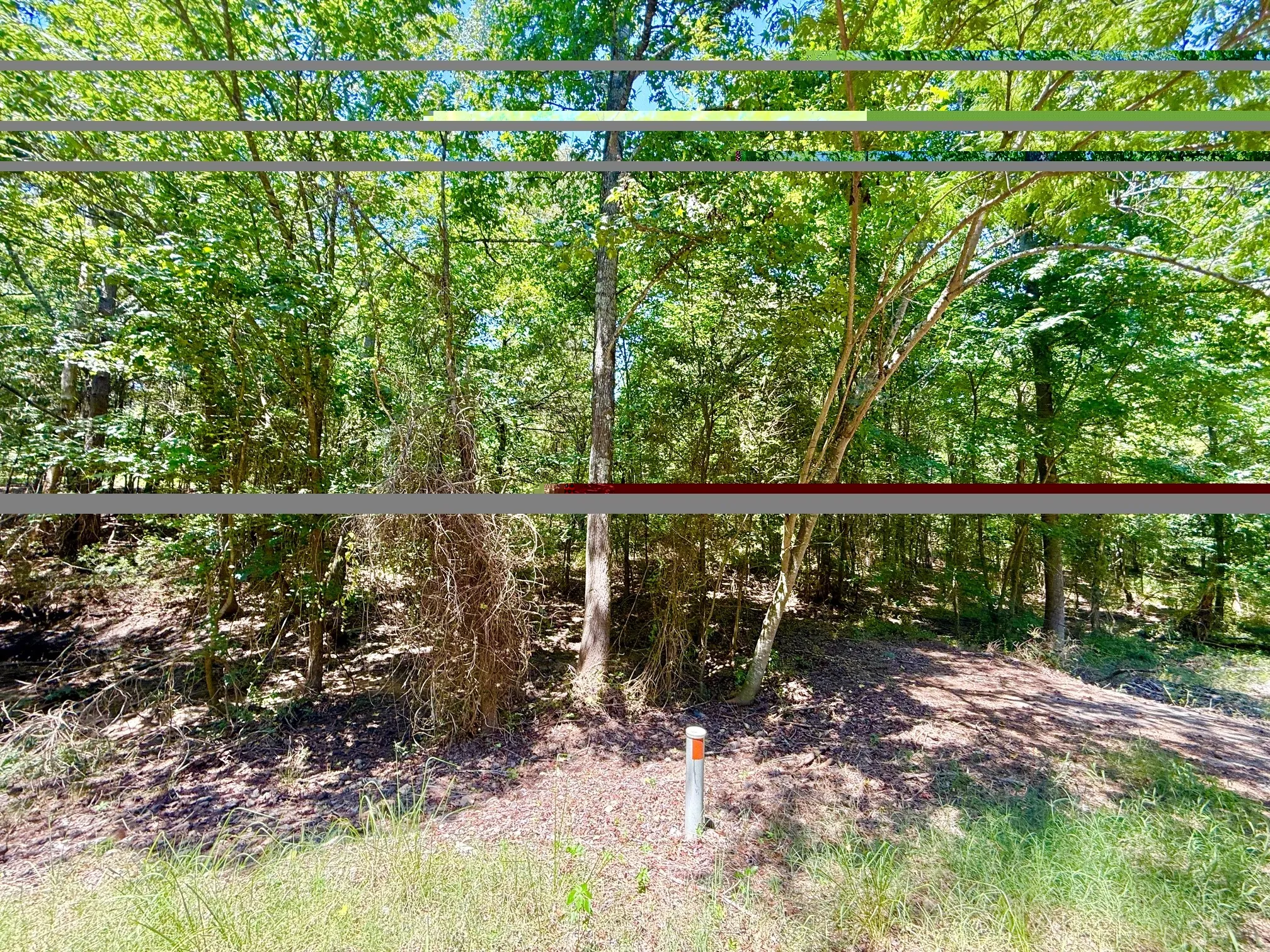 Unimproved Land For Sale in Titus County , 0 CR 1755, Mt Pleasant, Texas 75455, 0, 0, Garage spaces, 0 Sqft, built in 0, mls#21345016, Real Estate Agent in Mt Pleasant, Homes For Sale in Titus county, Homes For Sale in Mt Pleasant, Realtor in Mt Pleasant Texas, Real Estate Brokerage Independent Realty Texas, Luminita Cordes Realtor