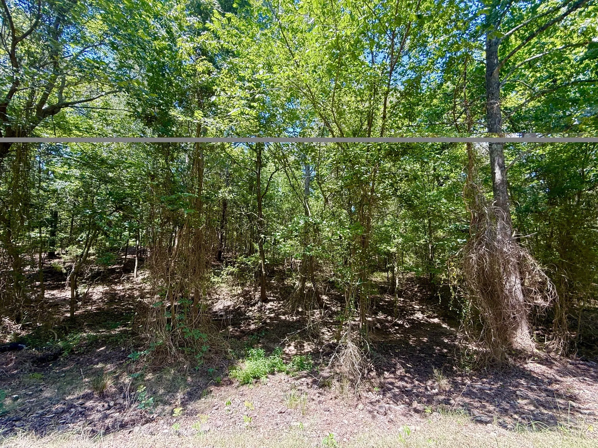 Unimproved Land For Sale in Titus County , 0 CR 1755, Mt Pleasant, Texas 75455, 0, 0, Garage spaces, 0 Sqft, built in 0, mls#21345016, Real Estate Agent in Mt Pleasant, Homes For Sale in Titus county, Homes For Sale in Mt Pleasant, Realtor in Mt Pleasant Texas, Real Estate Brokerage Independent Realty Texas, Luminita Cordes Realtor