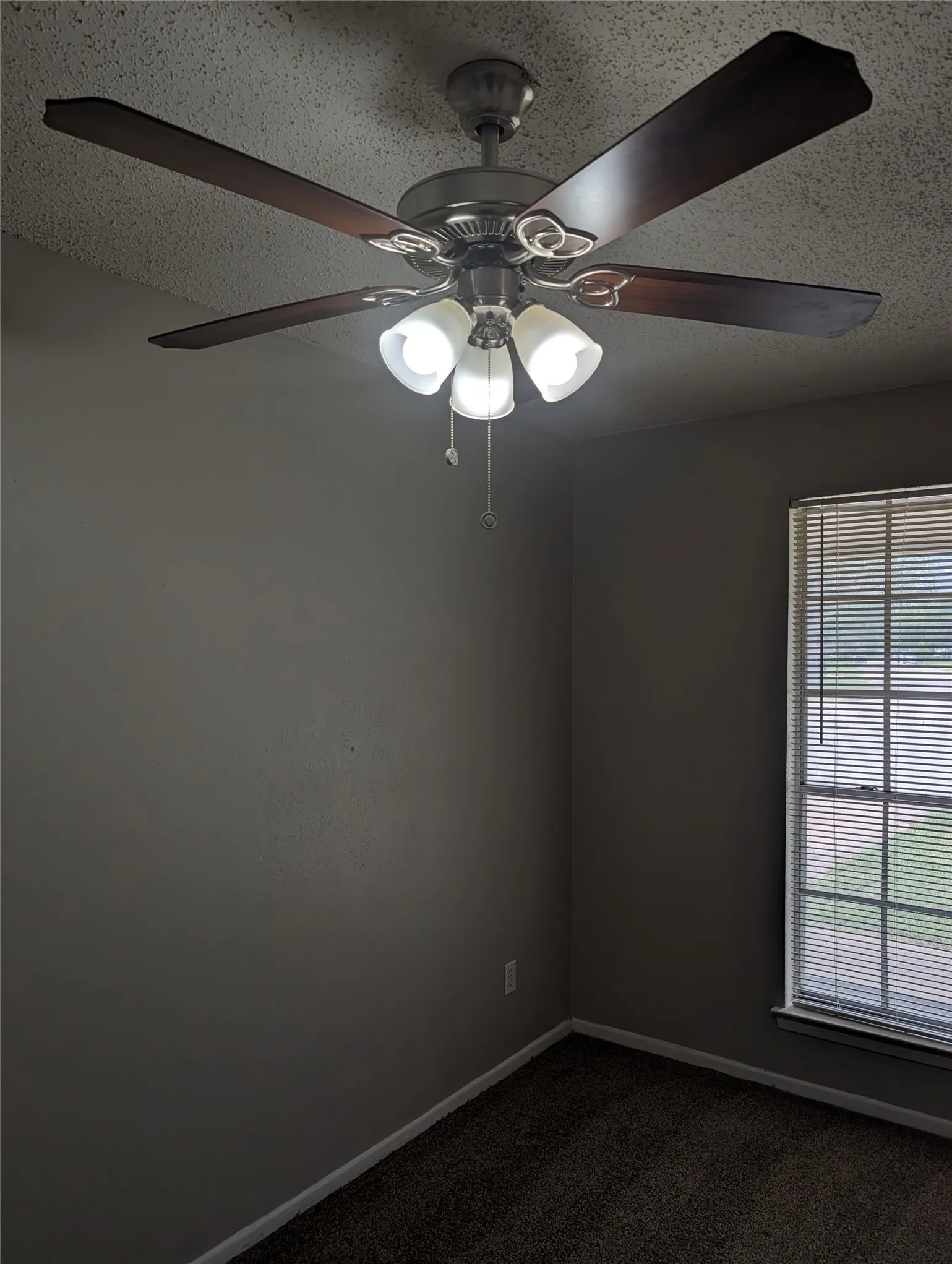 Single Family Residence For Rent in Tarrant County , 633 Christie Court, Everman, Texas 76140, 4 Bedroom, 2 Bathroom, 2 Garage spaces, 1,152 Sqft, built in 1968, mls#21345022, Real Estate Agent in Everman, Homes For Rent in Tarrant county, Homes For Rent in Everman, Realtor in Everman Texas, Real Estate Brokerage Independent Realty Texas, Luminita Cordes Realtor