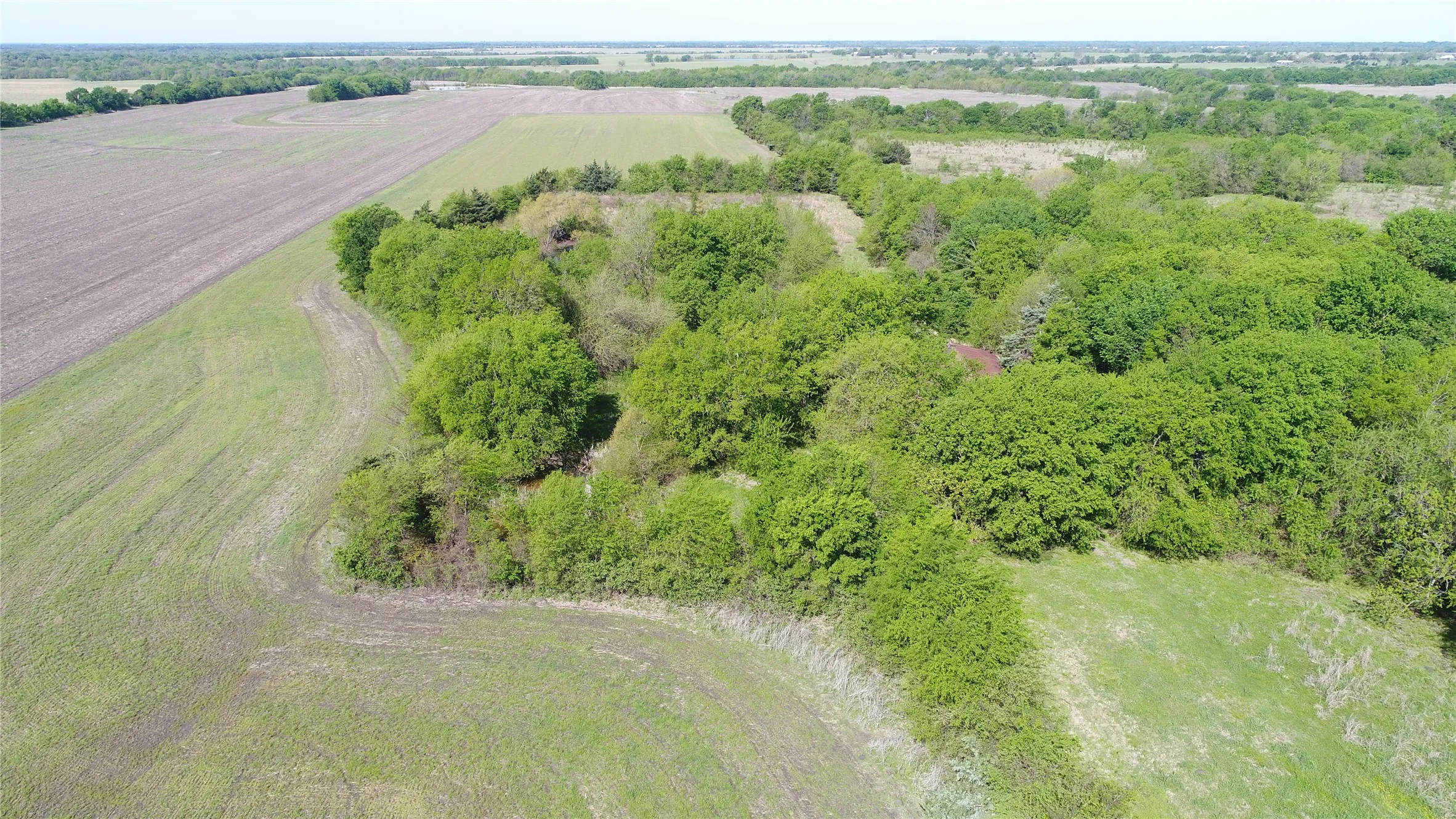 Expansive undeveloped land featuring mature trees and open fields
