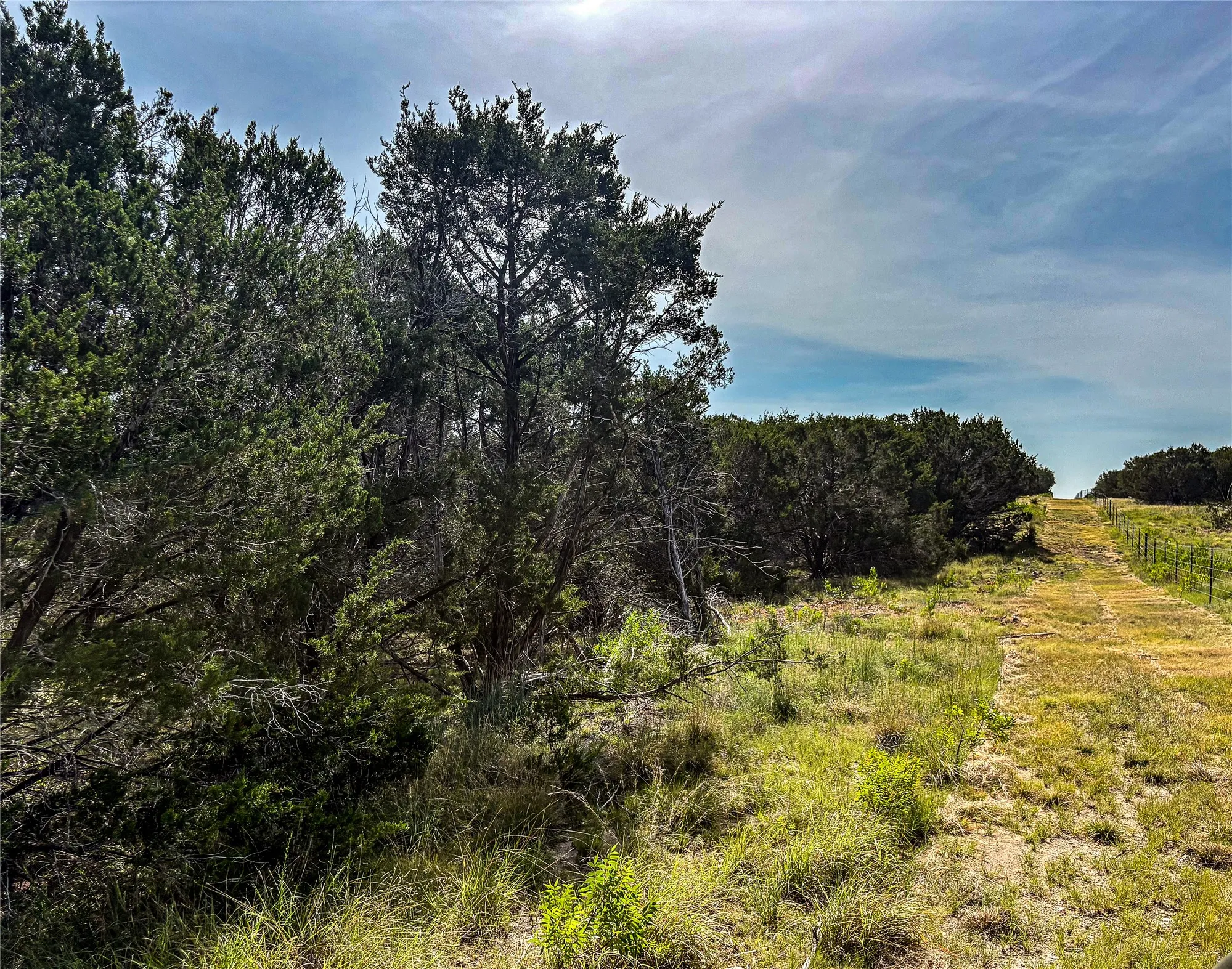 Unimproved Land For Sale in Hamilton County , 5075 Hwy 22, Hamilton, Texas 76531, 0, 0, Garage spaces, 0 Sqft, built in 1980, mls#21345043, Real Estate Agent in Hamilton, Homes For Sale in Hamilton county, Homes For Sale in Hamilton, Realtor in Hamilton Texas, Real Estate Brokerage Independent Realty Texas, Luminita Cordes Realtor