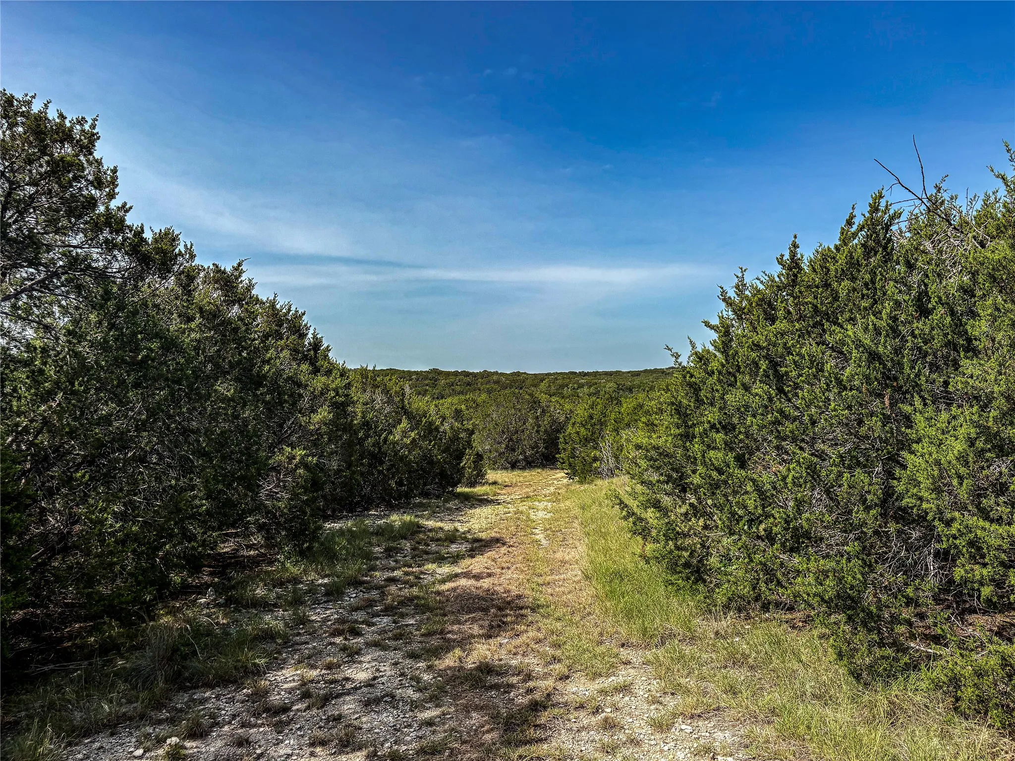 Unimproved Land For Sale in Hamilton County , 5075 Hwy 22, Hamilton, Texas 76531, 0, 0, Garage spaces, 0 Sqft, built in 1980, mls#21345043, Real Estate Agent in Hamilton, Homes For Sale in Hamilton county, Homes For Sale in Hamilton, Realtor in Hamilton Texas, Real Estate Brokerage Independent Realty Texas, Luminita Cordes Realtor