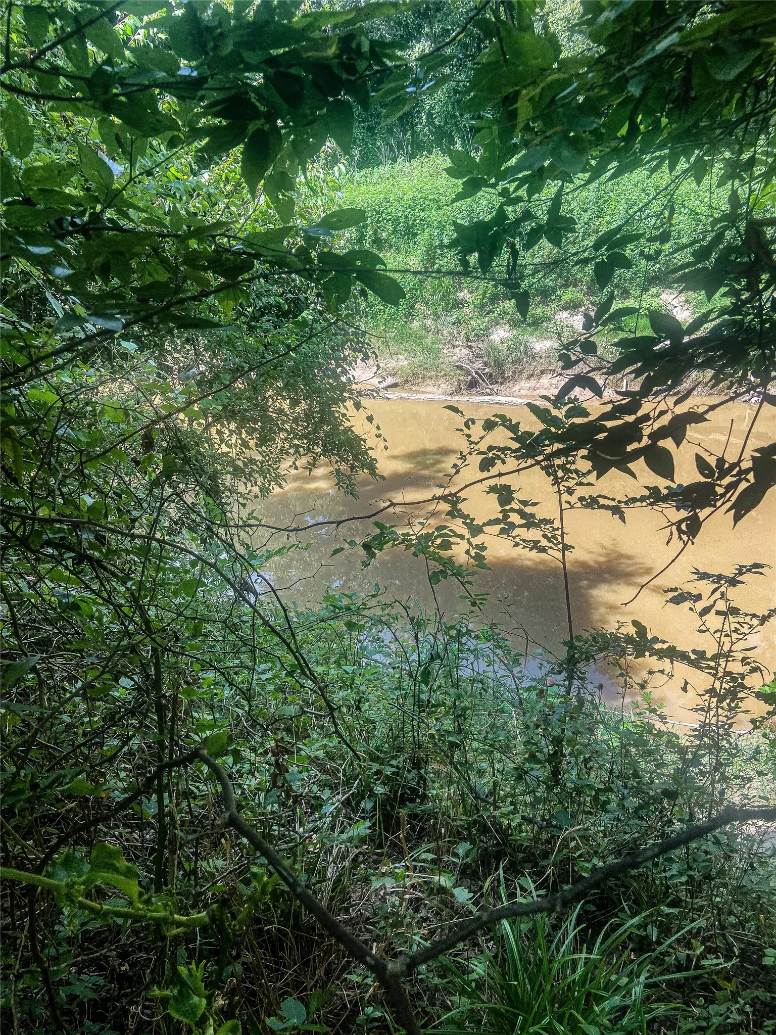 Unimproved Land For Sale in Hamilton County , 5075 Hwy 22, Hamilton, Texas 76531, 0, 0, Garage spaces, 0 Sqft, built in 1980, mls#21345043, Real Estate Agent in Hamilton, Homes For Sale in Hamilton county, Homes For Sale in Hamilton, Realtor in Hamilton Texas, Real Estate Brokerage Independent Realty Texas, Luminita Cordes Realtor