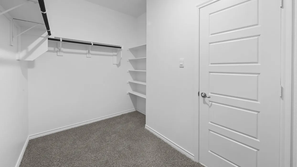 Walk-in closet featuring plush gray carpeting, white walls, built-in shelving, and a hanging rod system