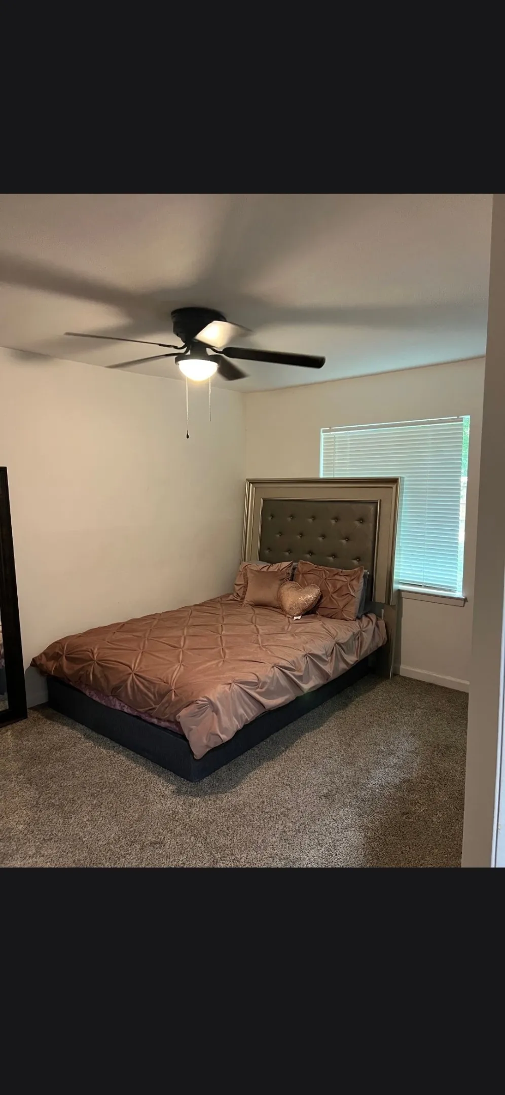 Carpeted room featuring a ceiling fan with integrated lighting, a window with horizontal blinds, and neutral wall tones