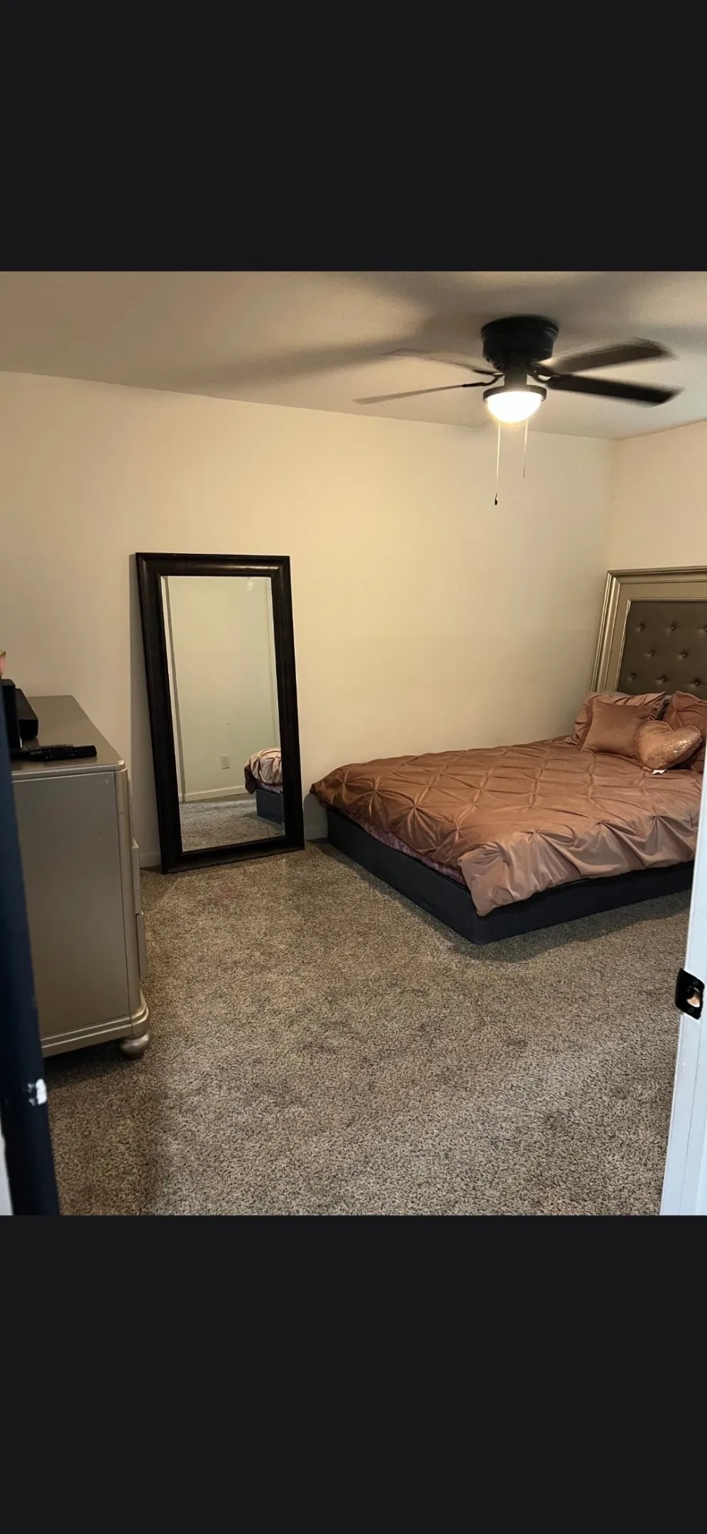 Plush carpet flooring throughout