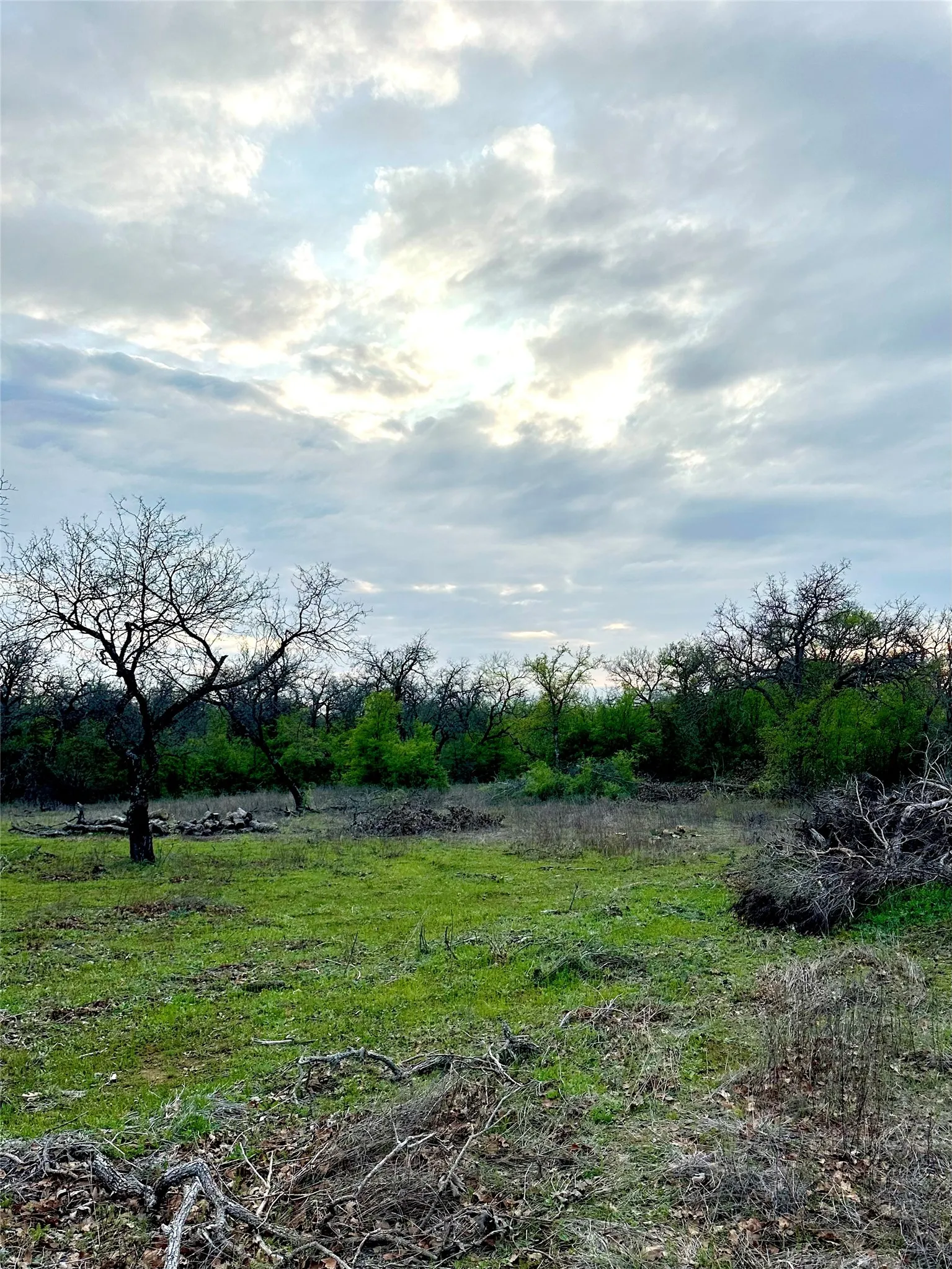Unimproved Land For Sale in Palo Pinto County , 0000 Stage Coach Trail, Gordon, Texas 76453, 0, 0, Garage spaces, 0 Sqft, built in 0, mls#21345129, Real Estate Agent in Gordon, Homes For Sale in Palo Pinto county, Homes For Sale in Gordon, Realtor in Gordon Texas, Real Estate Brokerage Independent Realty Texas, Luminita Cordes Realtor