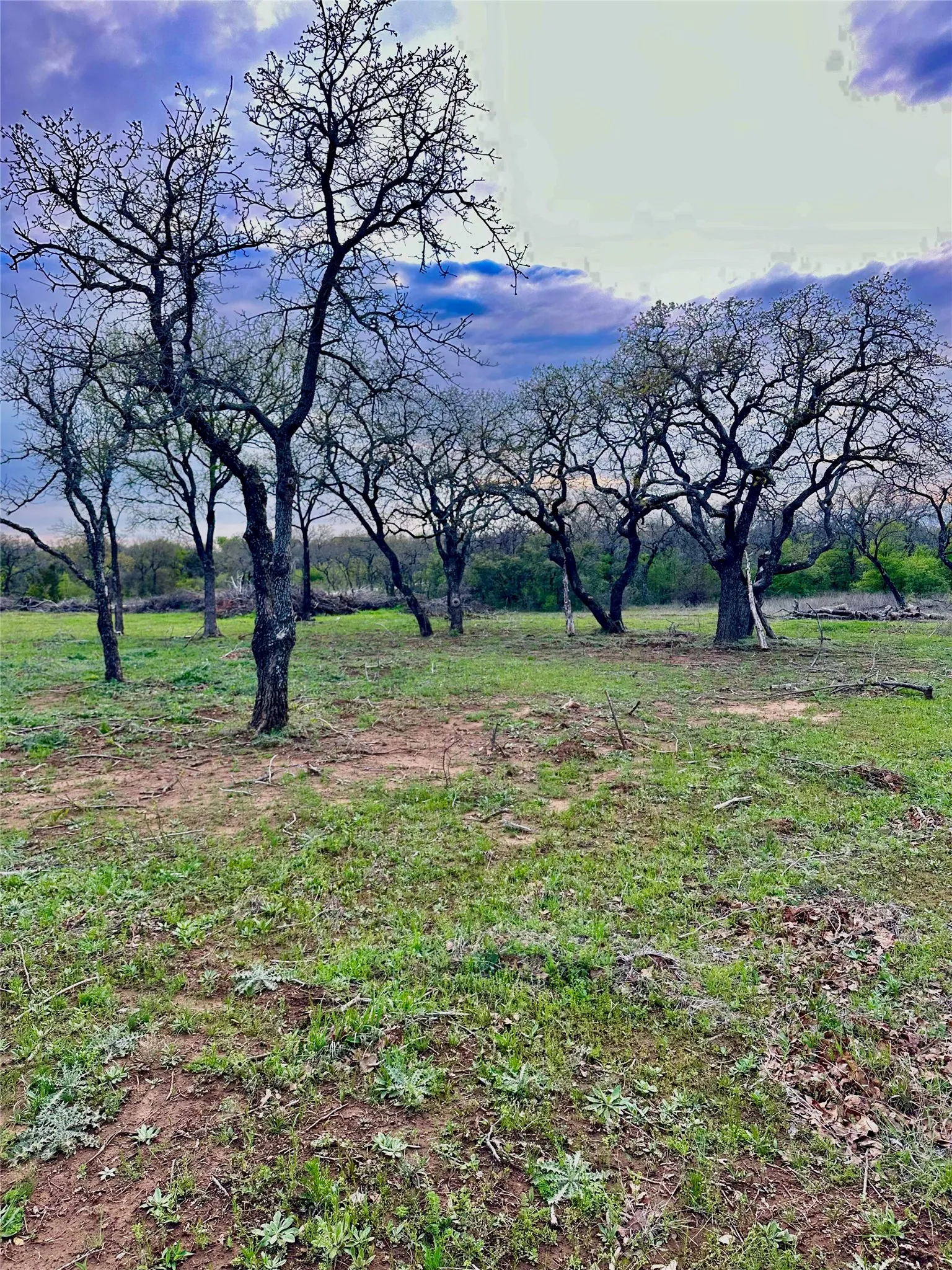 Unimproved Land For Sale in Palo Pinto County , 0000 Stage Coach Trail, Gordon, Texas 76453, 0, 0, Garage spaces, 0 Sqft, built in 0, mls#21345129, Real Estate Agent in Gordon, Homes For Sale in Palo Pinto county, Homes For Sale in Gordon, Realtor in Gordon Texas, Real Estate Brokerage Independent Realty Texas, Luminita Cordes Realtor