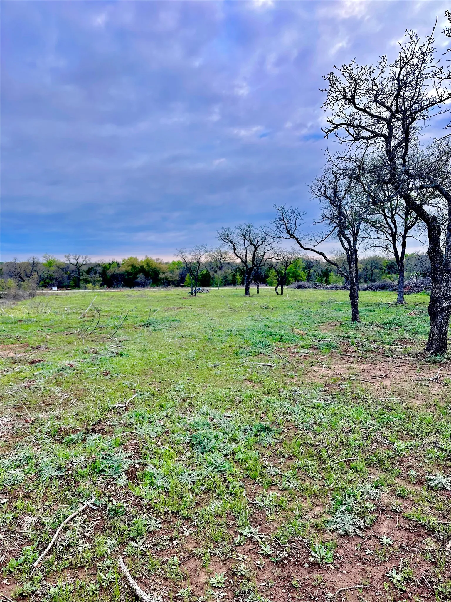 Unimproved Land For Sale in Palo Pinto County , 0000 Stage Coach Trail, Gordon, Texas 76453, 0, 0, Garage spaces, 0 Sqft, built in 0, mls#21345129, Real Estate Agent in Gordon, Homes For Sale in Palo Pinto county, Homes For Sale in Gordon, Realtor in Gordon Texas, Real Estate Brokerage Independent Realty Texas, Luminita Cordes Realtor
