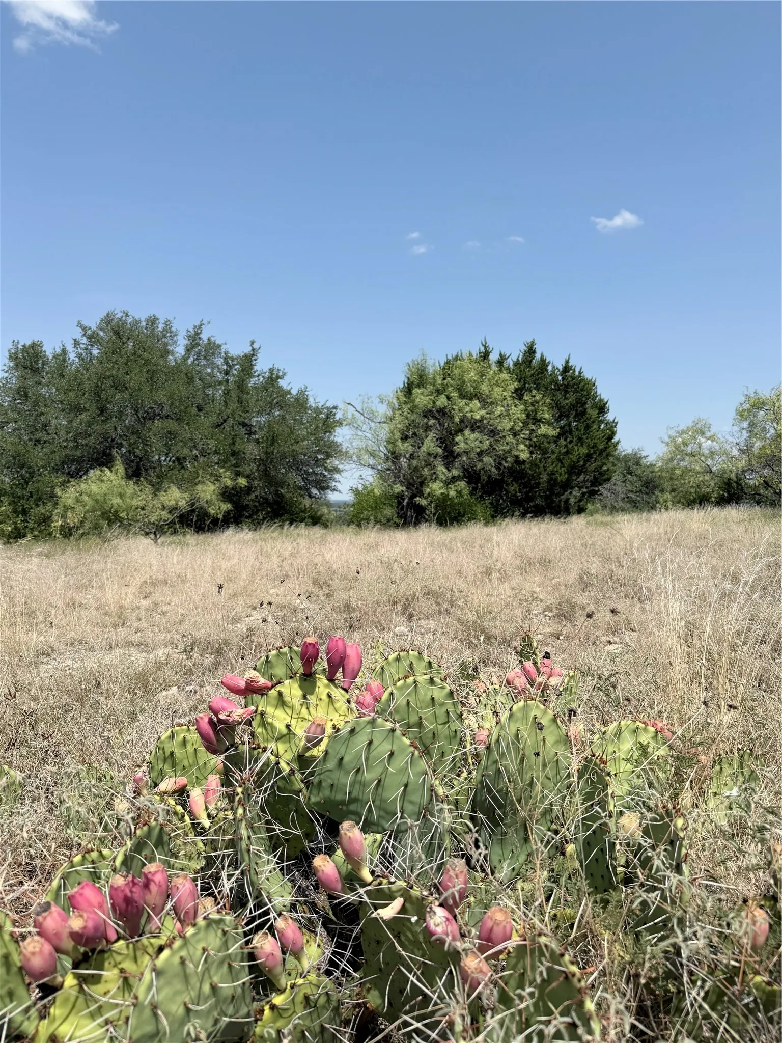Improved Land For Sale in Comanche County , 178 Twisted Creek Drive, Gustine, Texas 76455, 0, 0, Garage spaces, 0 Sqft, built in 0, Price $175,000, mls#21343871, Real Estate Agent in Gustine, Homes For Sale in Comanche county, Homes For Sale in Gustine, Realtor in Gustine Texas, Real Estate Brokerage Independent Realty Texas, Luminita Cordes Realtor
