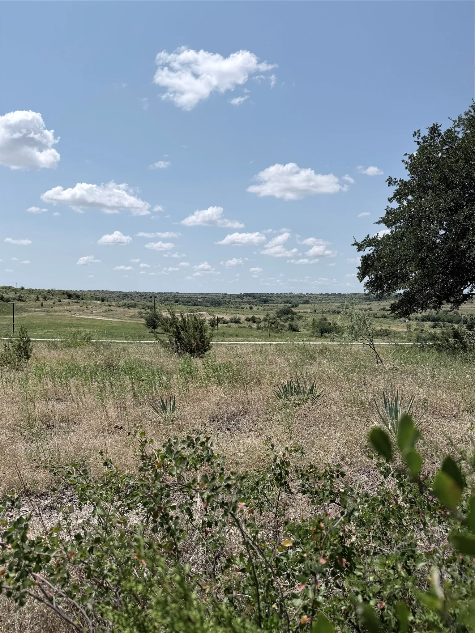 Improved Land For Sale in Comanche County , 178 Twisted Creek Drive, Gustine, Texas 76455, 0, 0, Garage spaces, 0 Sqft, built in 0, Price $175,000, mls#21343871, Real Estate Agent in Gustine, Homes For Sale in Comanche county, Homes For Sale in Gustine, Realtor in Gustine Texas, Real Estate Brokerage Independent Realty Texas, Luminita Cordes Realtor