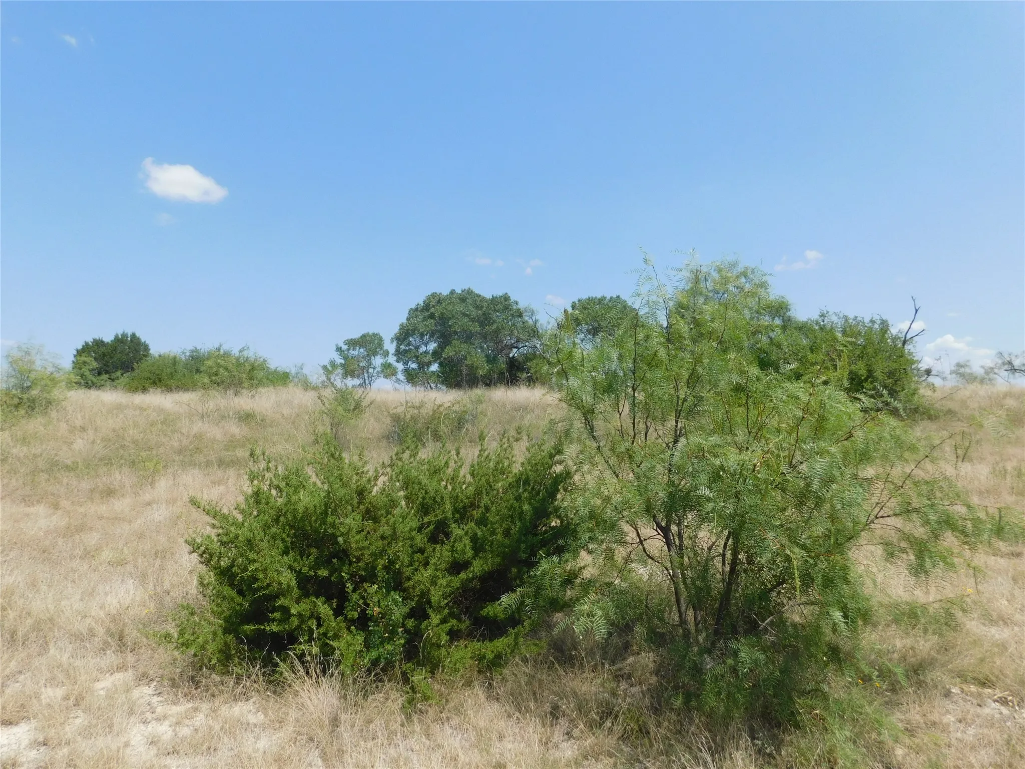 Improved Land For Sale in Comanche County , 178 Twisted Creek Drive, Gustine, Texas 76455, 0, 0, Garage spaces, 0 Sqft, built in 0, Price $175,000, mls#21343871, Real Estate Agent in Gustine, Homes For Sale in Comanche county, Homes For Sale in Gustine, Realtor in Gustine Texas, Real Estate Brokerage Independent Realty Texas, Luminita Cordes Realtor