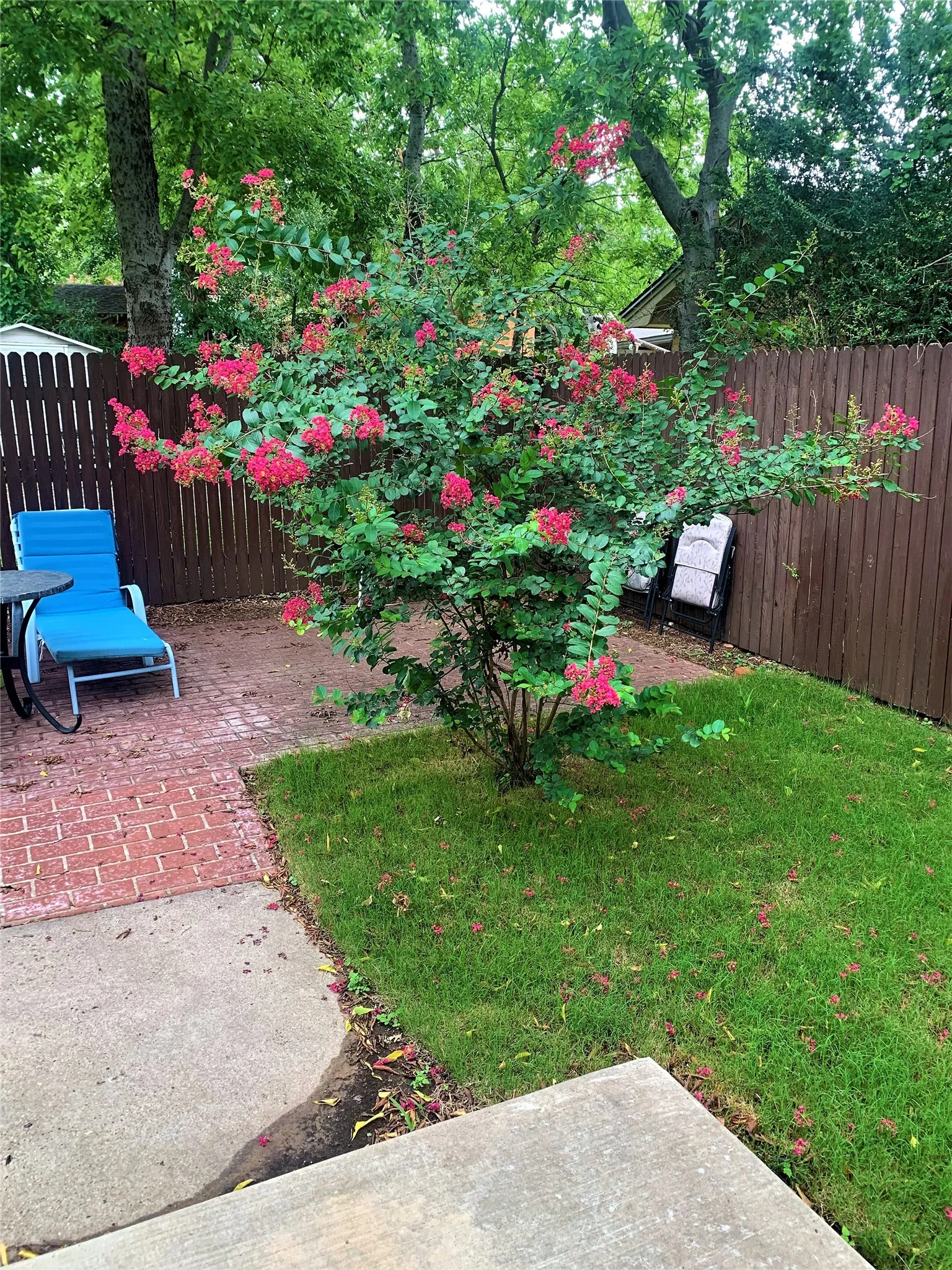 Single Family Residence For Rent in Denton County , 815 Haynes Street, Denton, Texas 76201, 2 Bedrooms, 1 Bathroom, Garage spaces, 912 Sqft, built in 1961, Price $1,195, mls#21345153, Real Estate Agent in Denton, Homes For Rent in Denton county, Homes For Rent in Denton, Realtor in Denton Texas, Real Estate Brokerage Independent Realty Texas, Luminita Cordes Realtor