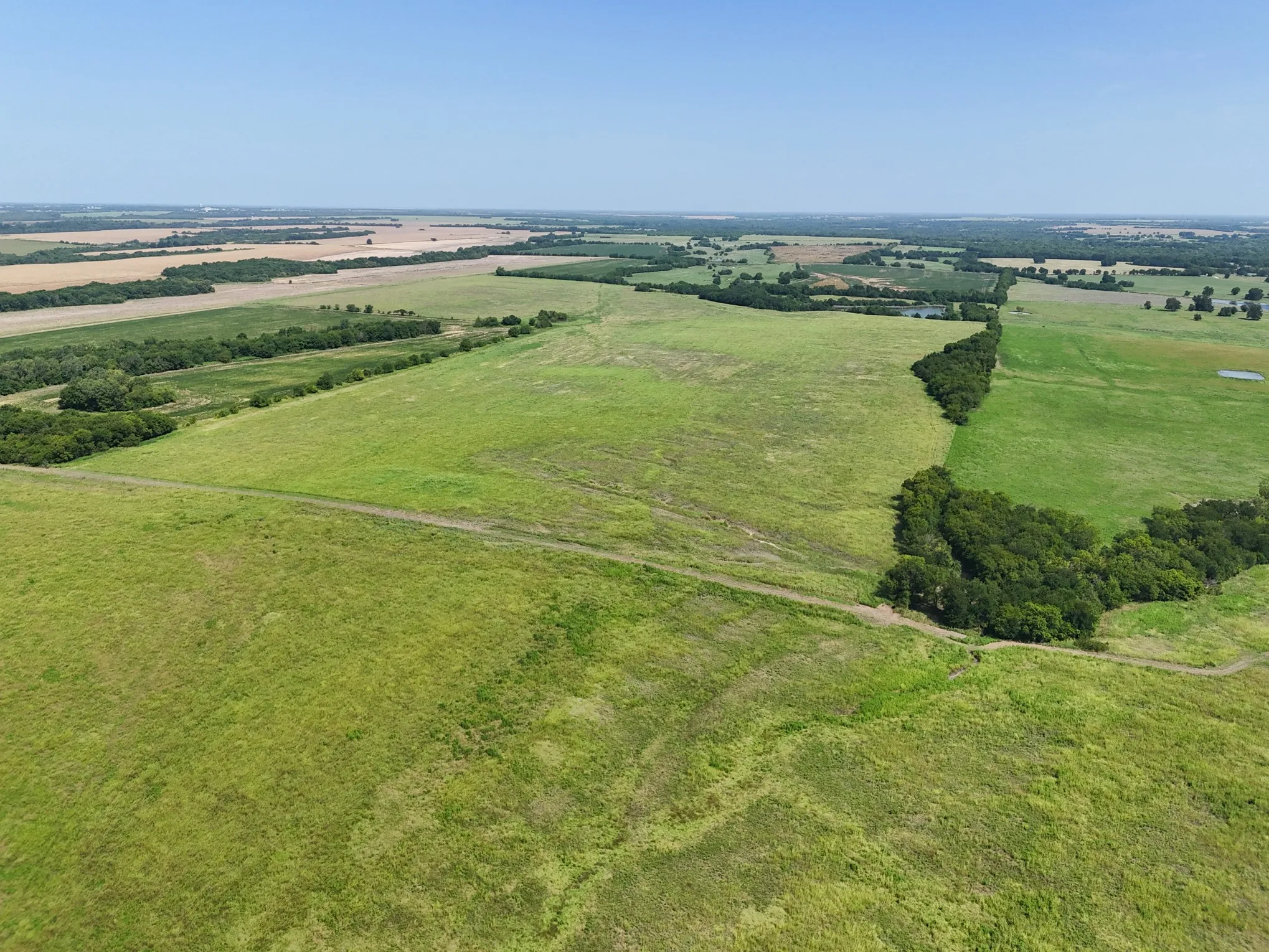 Expansive green acreage featuring scattered trees and a clear blue sky