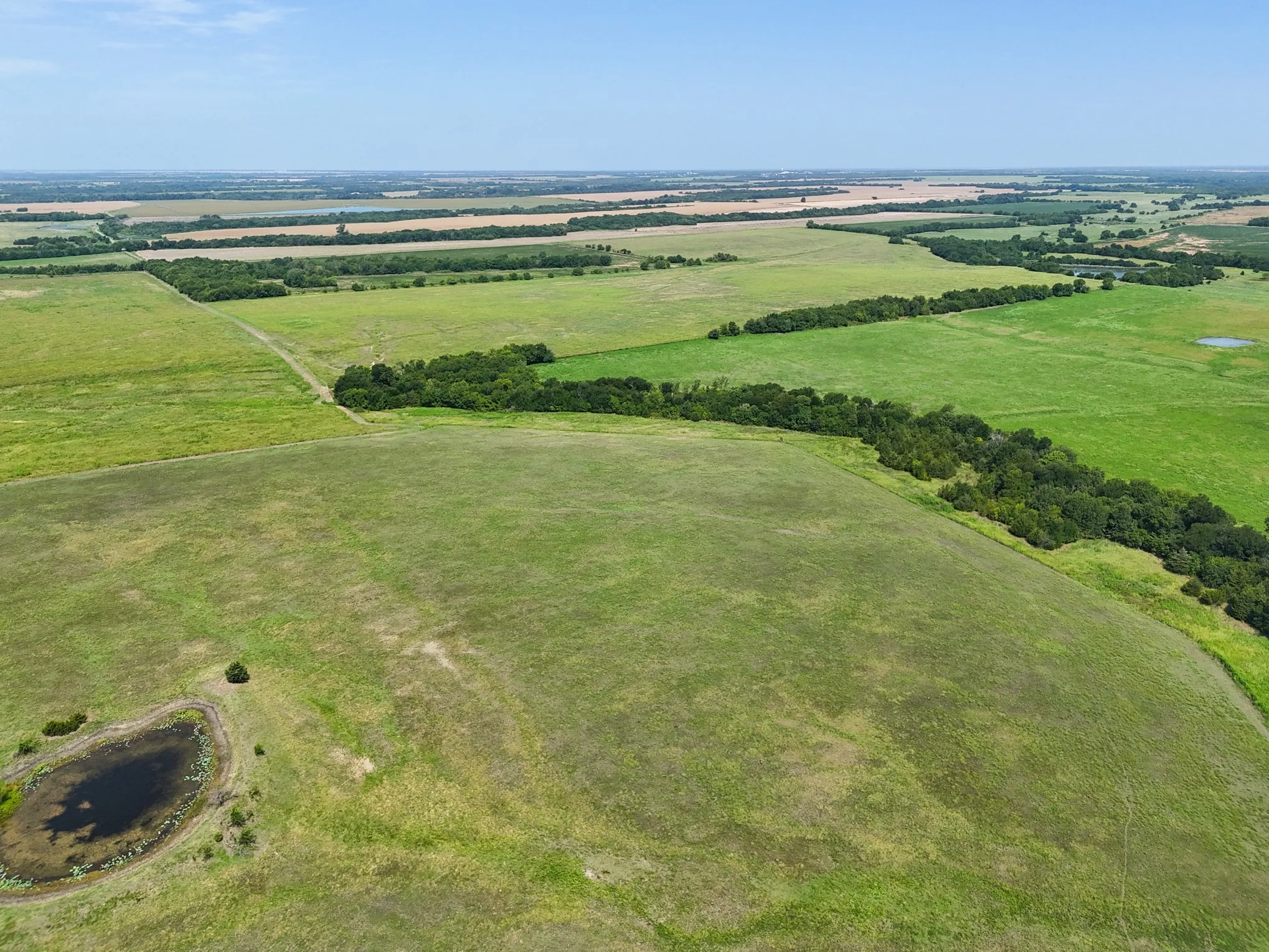 Expansive acreage featuring a natural pond, diverse green pastures, and mature tree lines
