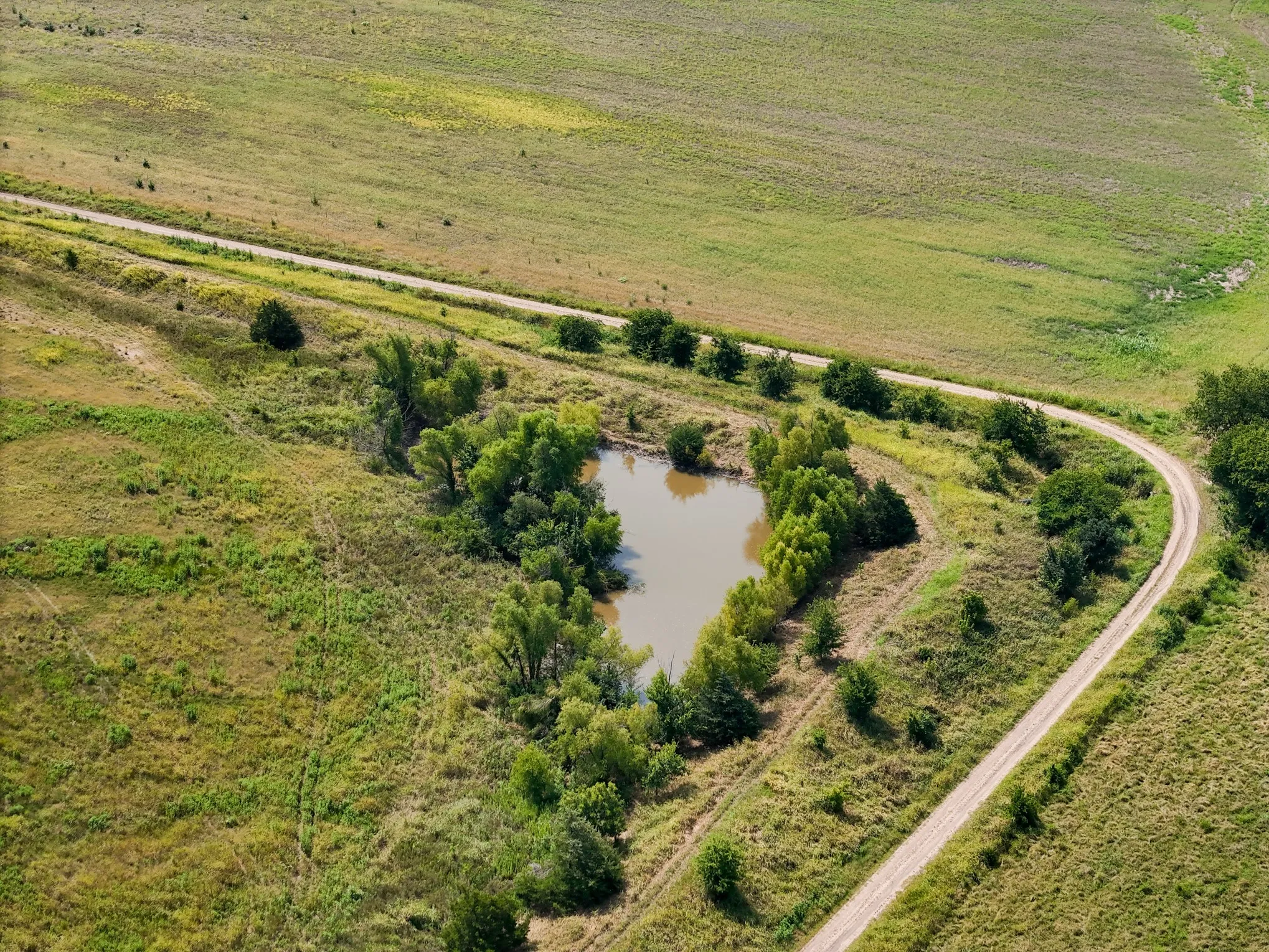 Expansive natural landscape featuring a pond, surrounding trees, and a winding unpaved road