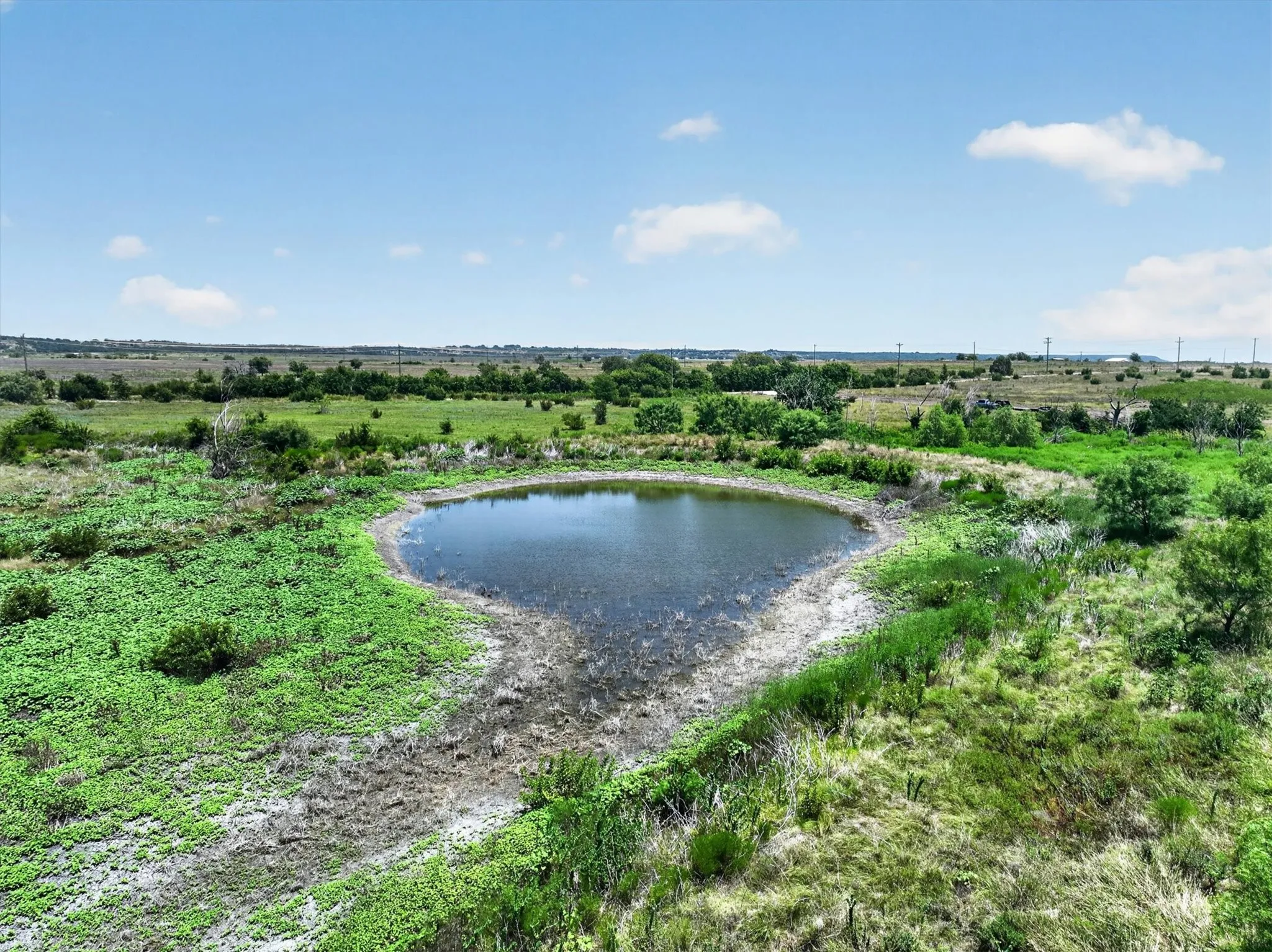 Ranch For Sale in Erath County , TBD 1 County Road 214, Hico, Texas 76457, 0, 0, Garage spaces, 0 Sqft, built in 0, mls#21343293, Real Estate Agent in Hico, Homes For Sale in Erath county, Homes For Sale in Hico, Realtor in Hico Texas, Real Estate Brokerage Independent Realty Texas, Luminita Cordes Realtor