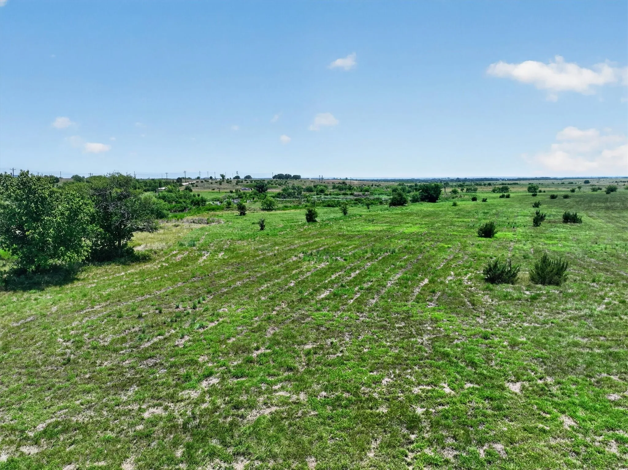 Ranch For Sale in Erath County , TBD 1 County Road 214, Hico, Texas 76457, 0, 0, Garage spaces, 0 Sqft, built in 0, mls#21343293, Real Estate Agent in Hico, Homes For Sale in Erath county, Homes For Sale in Hico, Realtor in Hico Texas, Real Estate Brokerage Independent Realty Texas, Luminita Cordes Realtor
