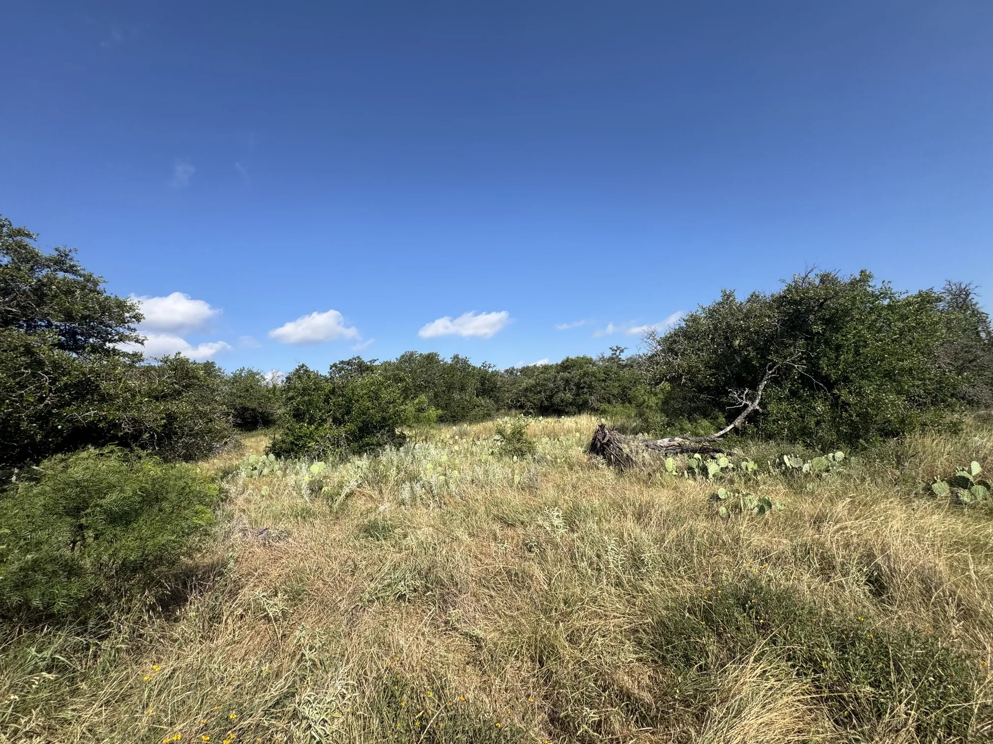 Ranch For Sale in Mc Culloch County , 7770 Buck Ridge Road, Brady, Texas 76825, 0, 0, Garage spaces, 0 Sqft, built in 0, Price $199,500, mls#21345205, Real Estate Agent in Brady, Homes For Sale in Mc Culloch county, Homes For Sale in Brady, Realtor in Brady Texas, Real Estate Brokerage Independent Realty Texas, Luminita Cordes Realtor