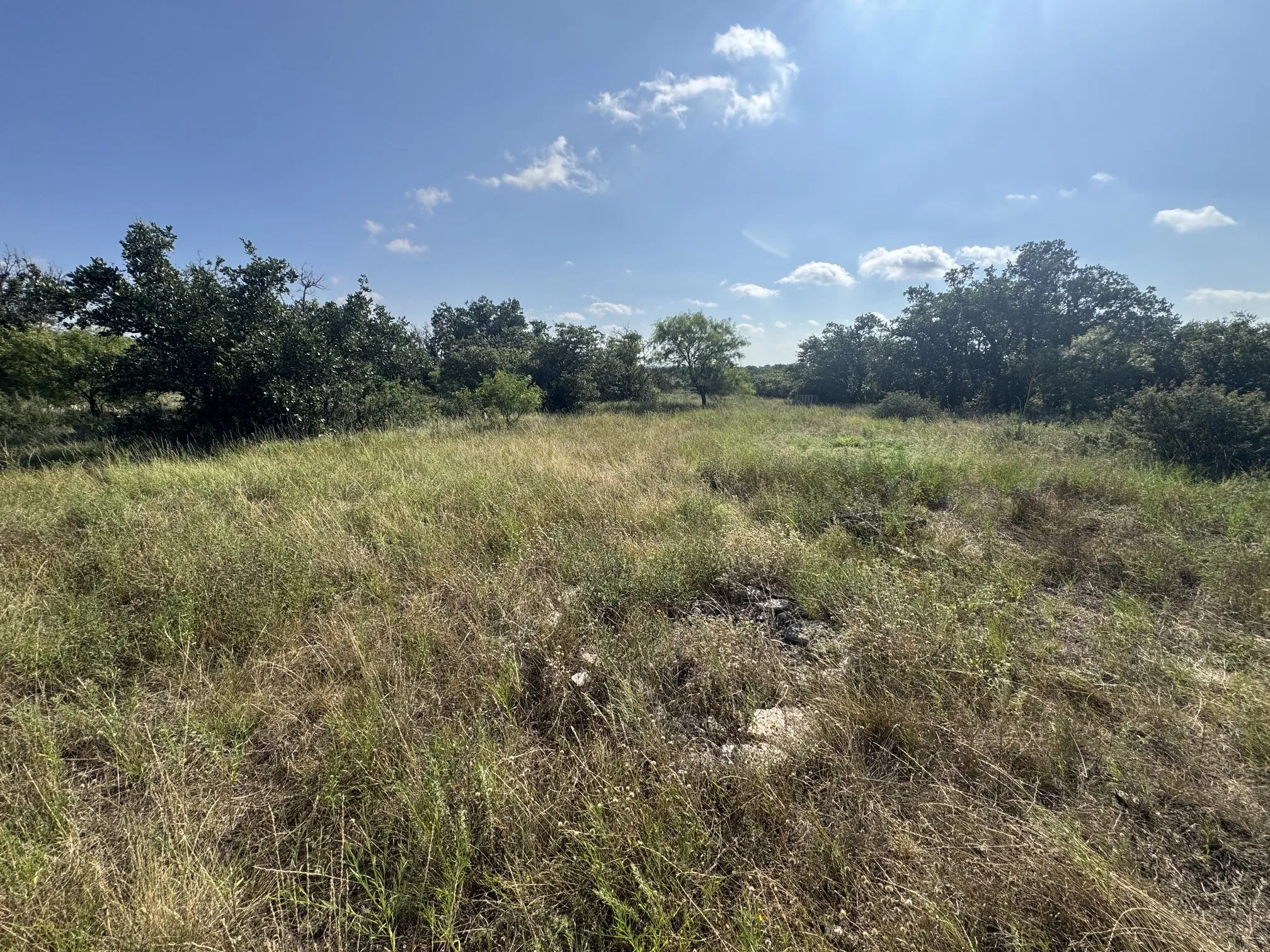 Ranch For Sale in Mc Culloch County , 7770 Buck Ridge Road, Brady, Texas 76825, 0, 0, Garage spaces, 0 Sqft, built in 0, Price $199,500, mls#21345205, Real Estate Agent in Brady, Homes For Sale in Mc Culloch county, Homes For Sale in Brady, Realtor in Brady Texas, Real Estate Brokerage Independent Realty Texas, Luminita Cordes Realtor