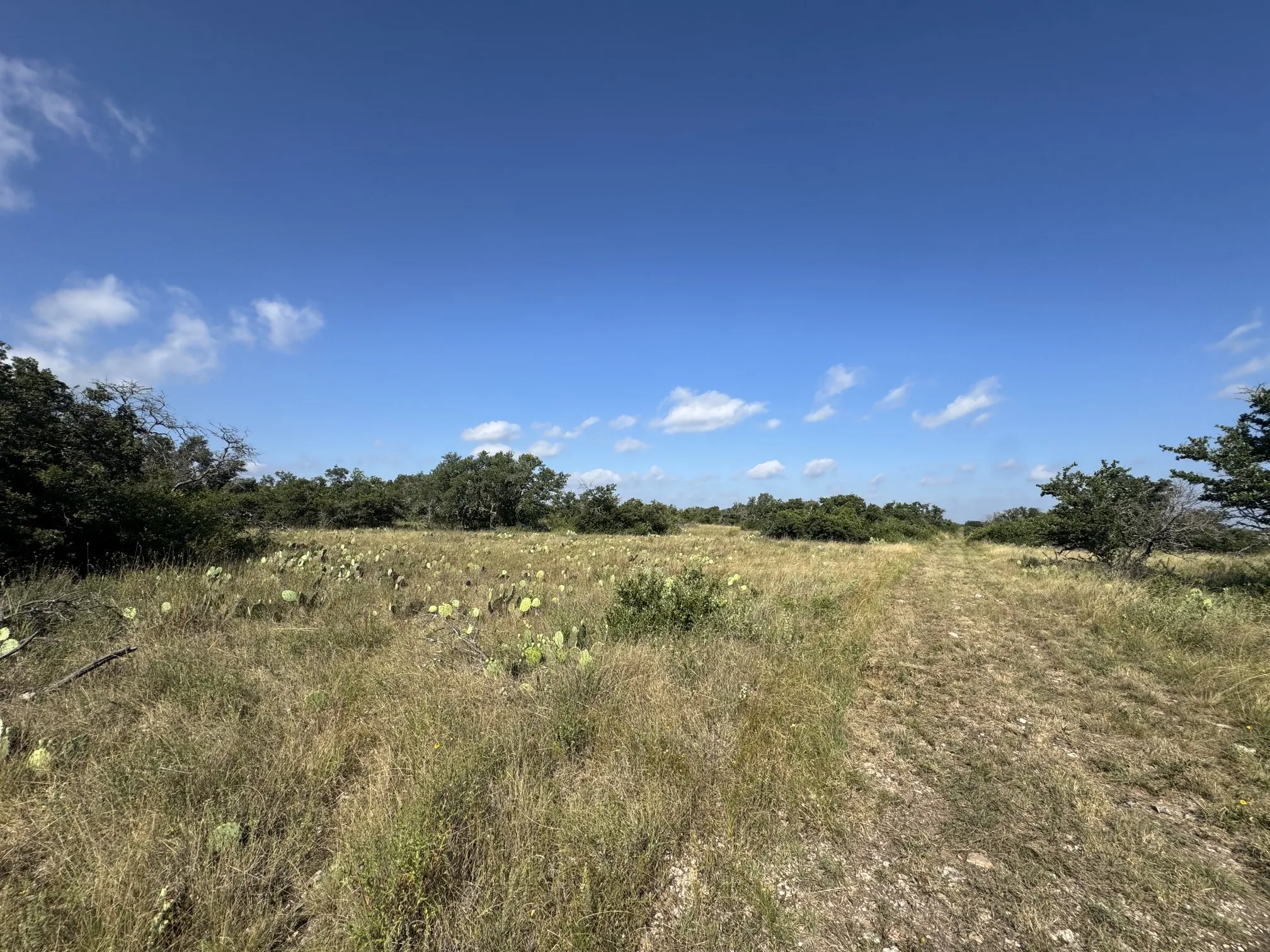 Ranch For Sale in Mc Culloch County , 7770 Buck Ridge Road, Brady, Texas 76825, 0, 0, Garage spaces, 0 Sqft, built in 0, Price $199,500, mls#21345205, Real Estate Agent in Brady, Homes For Sale in Mc Culloch county, Homes For Sale in Brady, Realtor in Brady Texas, Real Estate Brokerage Independent Realty Texas, Luminita Cordes Realtor