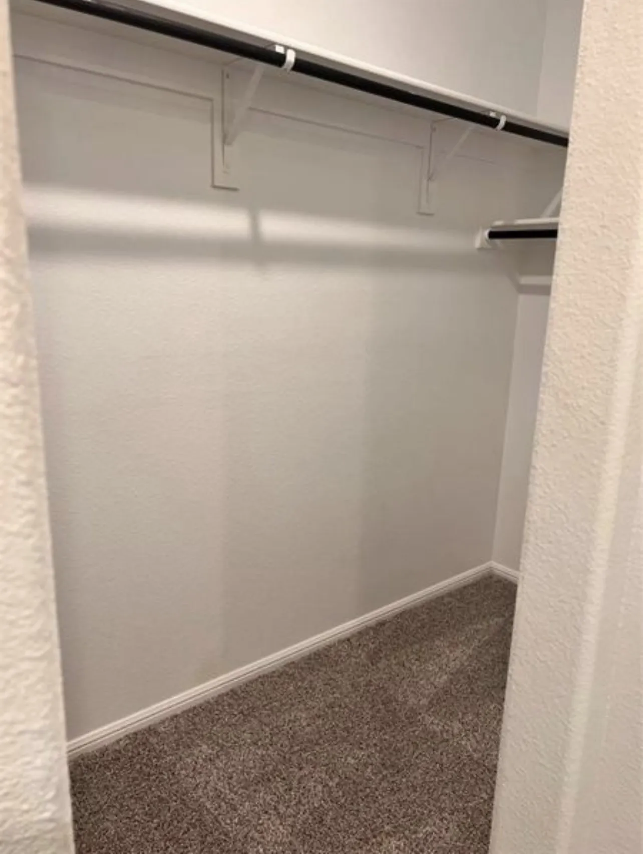 Spacious closet featuring built-in shelving, hanging rods, textured walls, and plush carpeting