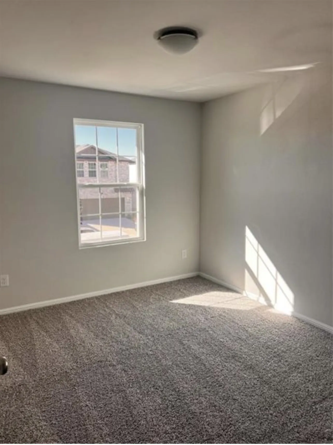 Neutral-toned walls complement plush grey carpeting