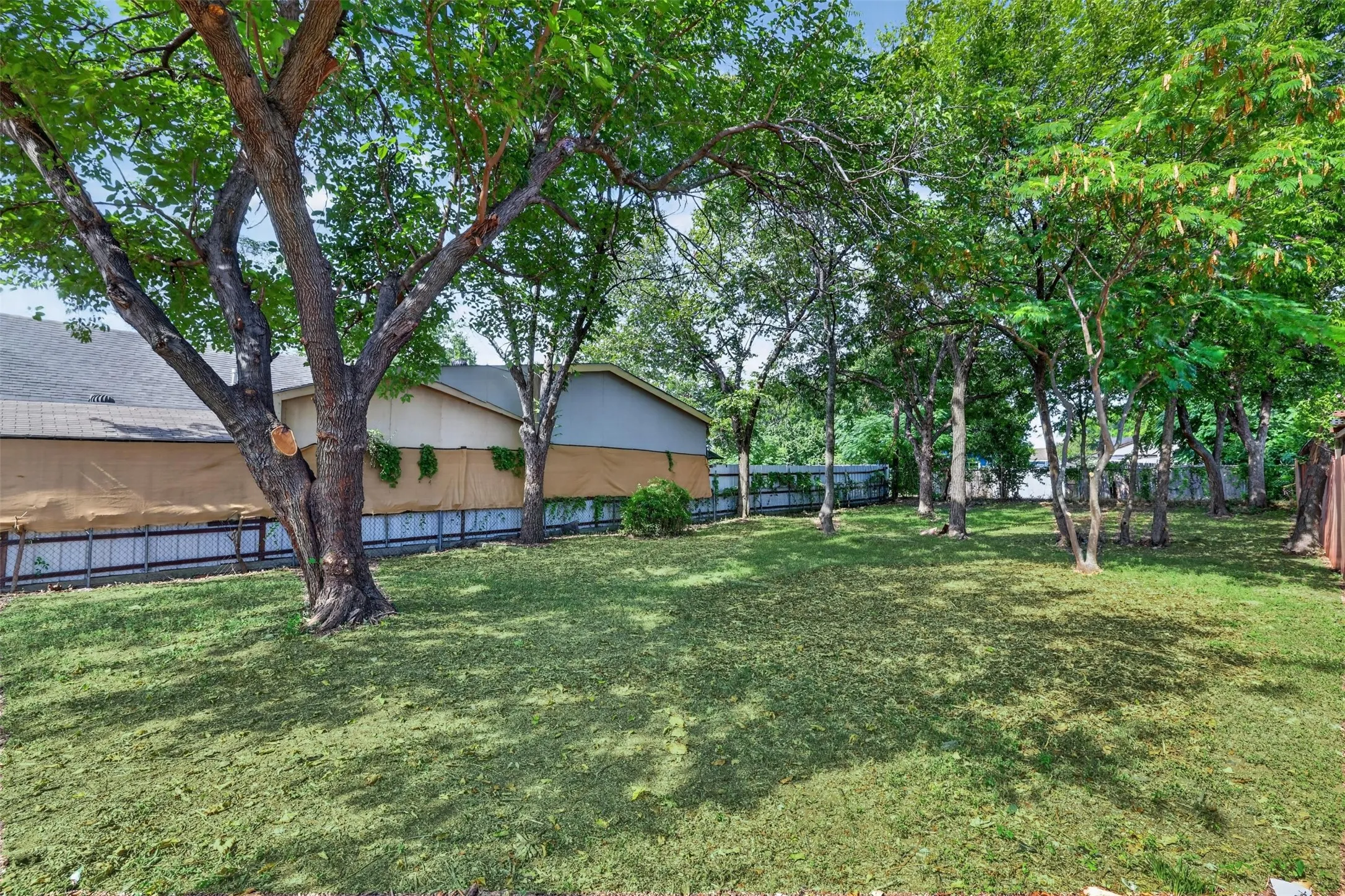 Expansive green lawn surrounded by mature trees, creating natural shade