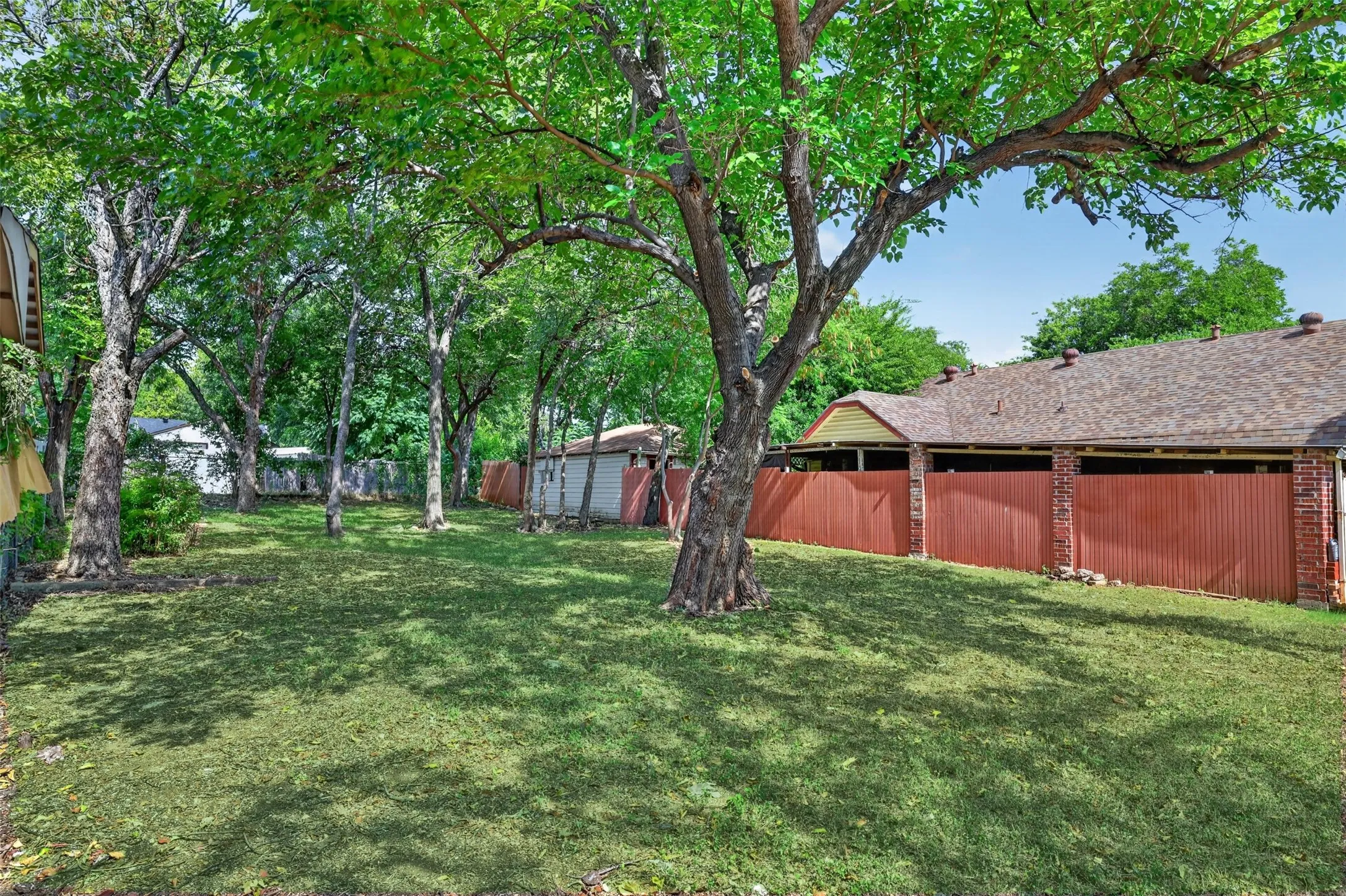 Expansive backyard featuring a lush green lawn, mature trees providing ample shade, a red corrugated metal fence, and a portion of the residence with a brown shingle roof