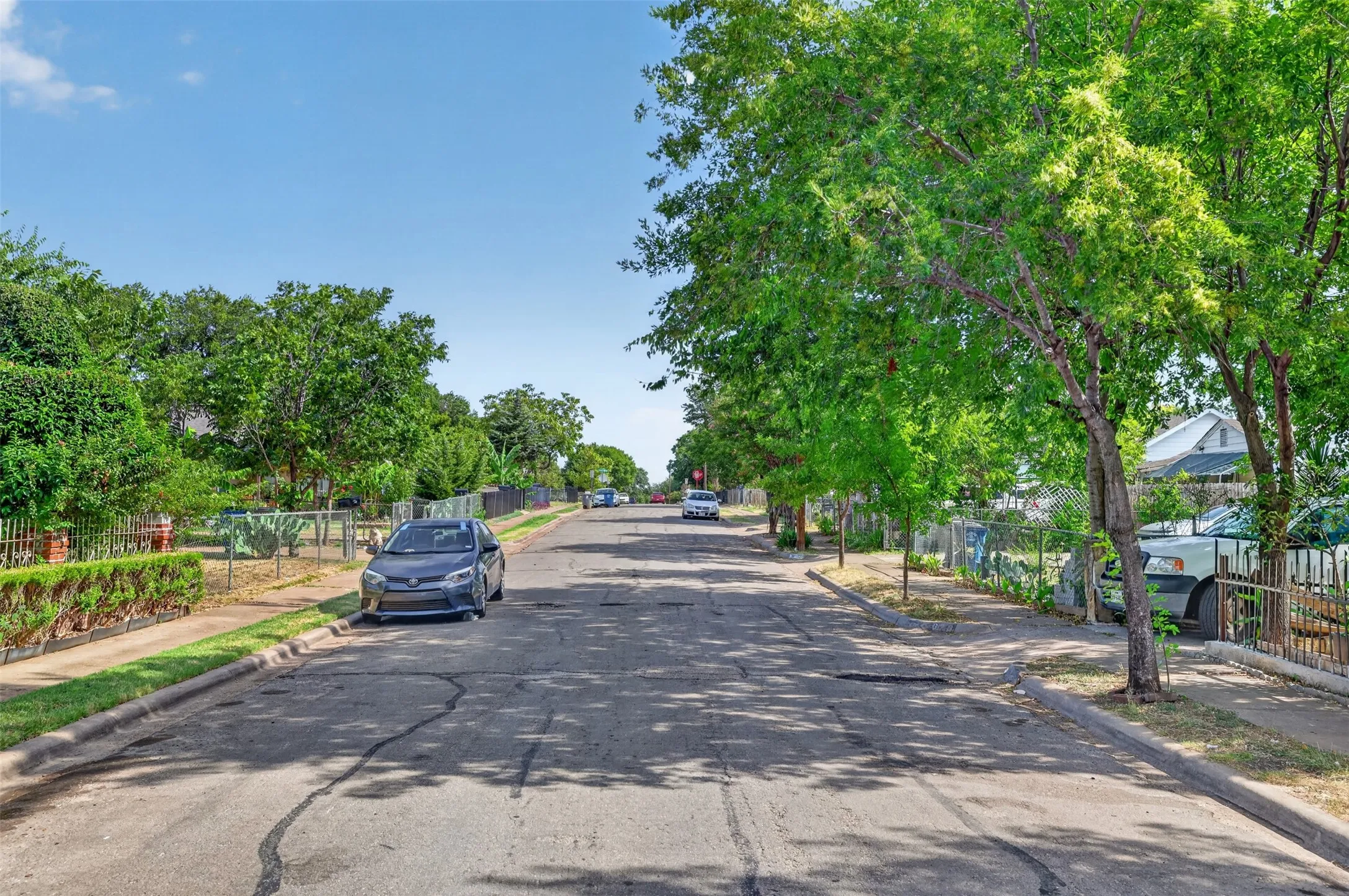 Tree-lined street featuring mature foliage and sidewalks