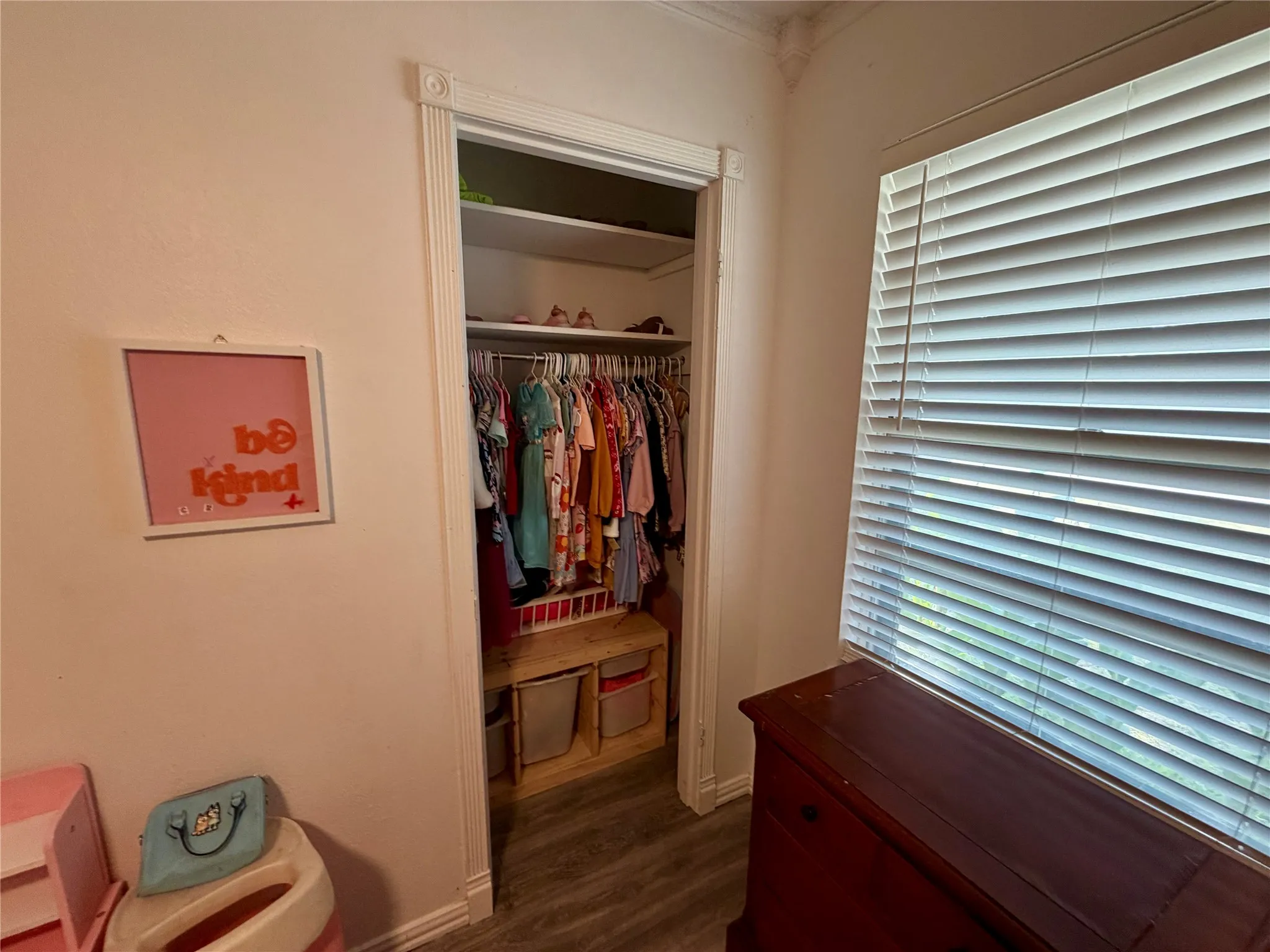 Bedroom #3 closet