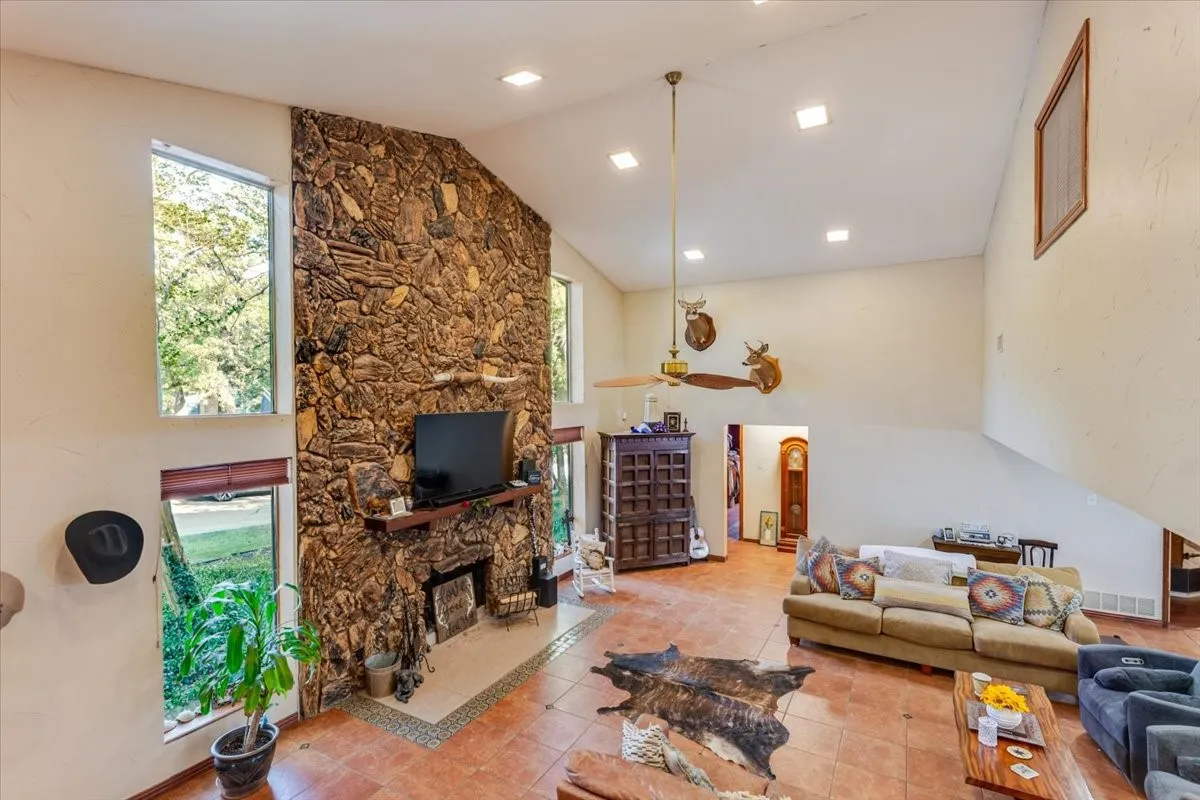 floor to ceiling petrified wood stone fireplace