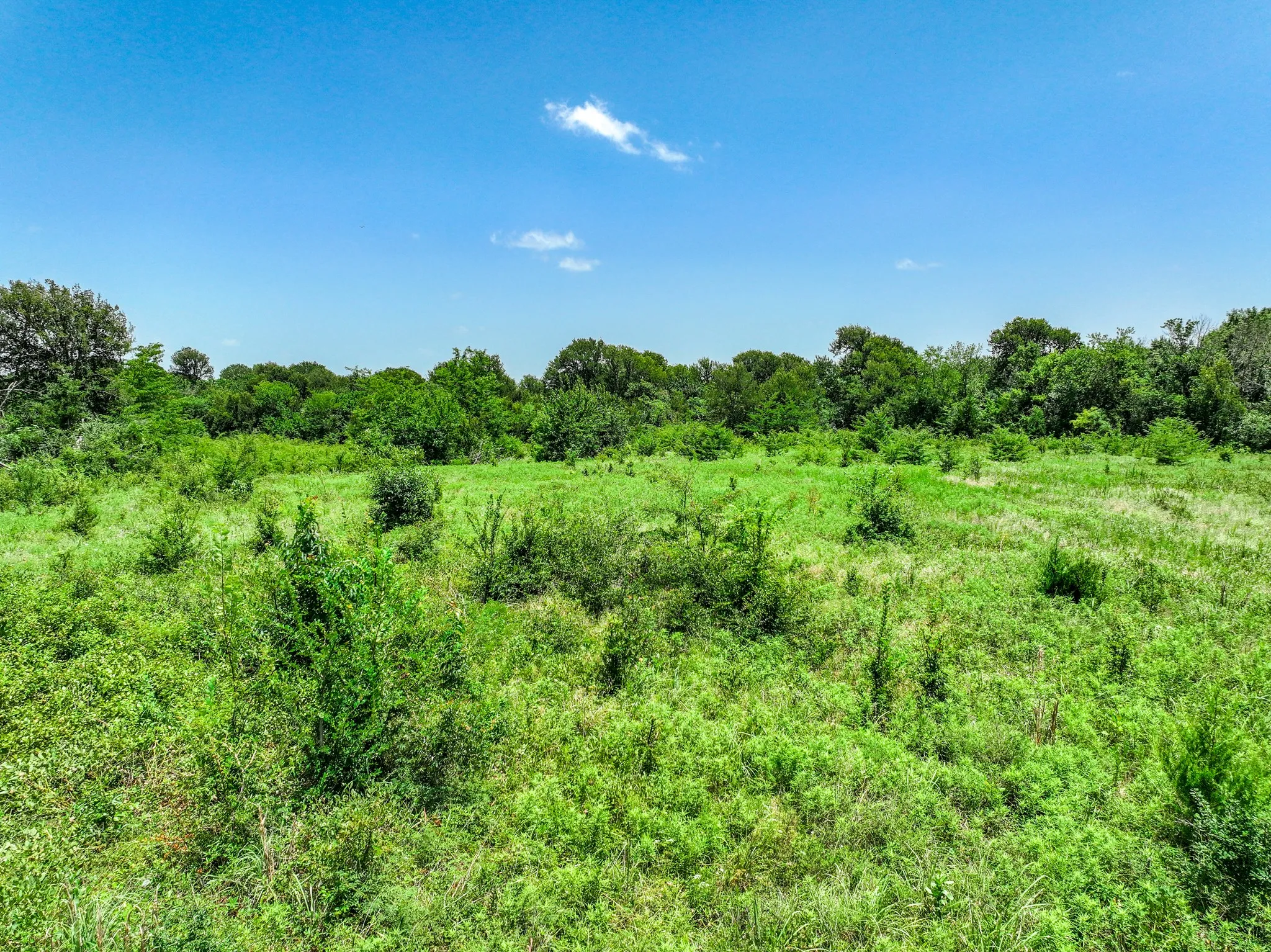 Unimproved Land For Sale in Franklin (TX) County , 0000 W Farm Rd 71 Highway, Talco, Texas 75487, 0, 0, Garage spaces, 0 Sqft, built in 0, mls#21345434, Real Estate Agent in Talco, Homes For Sale in Franklin (TX) county, Homes For Sale in Talco, Realtor in Talco Texas, Real Estate Brokerage Independent Realty Texas, Luminita Cordes Realtor