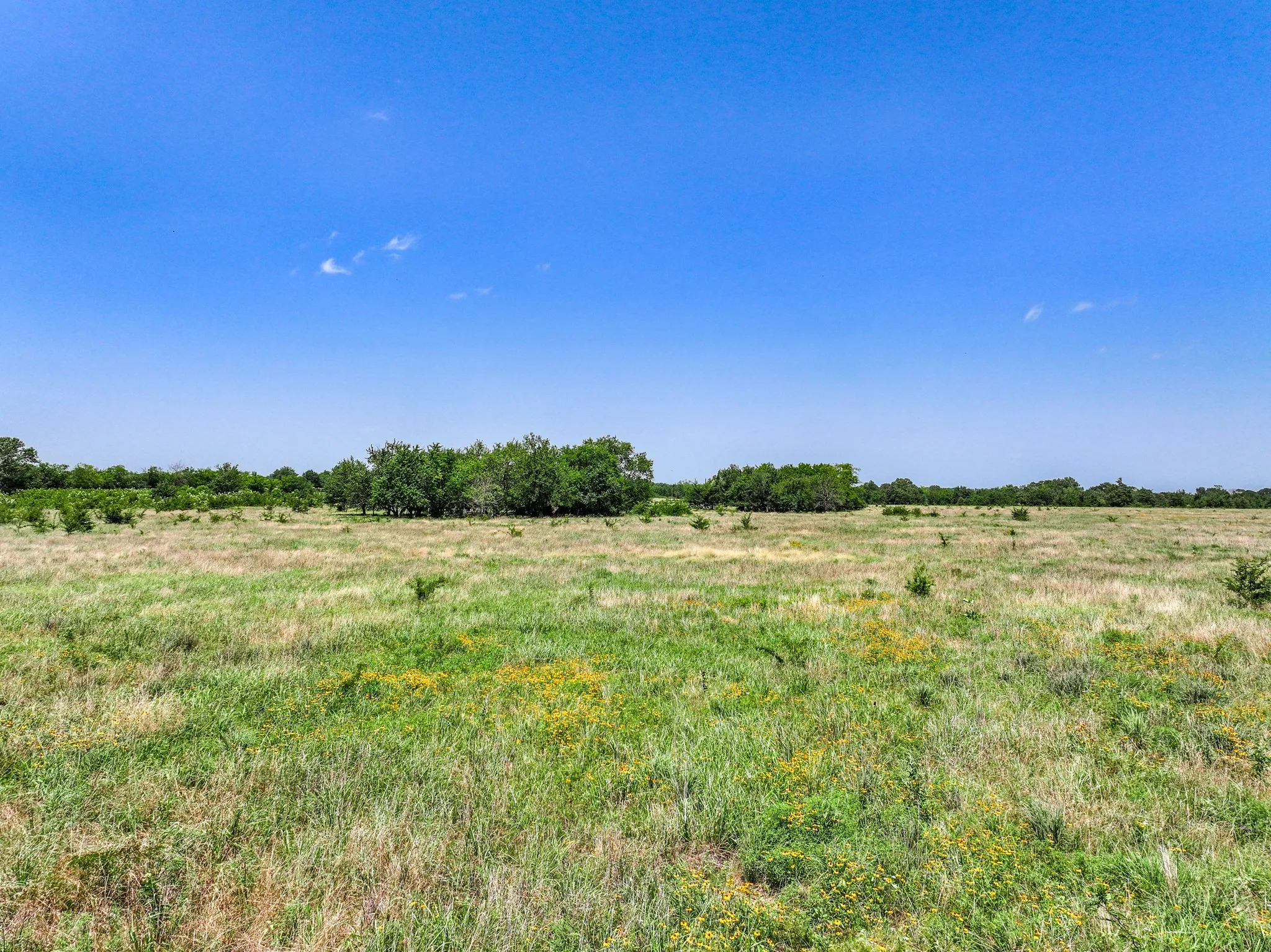 Unimproved Land For Sale in Franklin (TX) County , 0000 W Farm Rd 71 Highway, Talco, Texas 75487, 0, 0, Garage spaces, 0 Sqft, built in 0, mls#21345434, Real Estate Agent in Talco, Homes For Sale in Franklin (TX) county, Homes For Sale in Talco, Realtor in Talco Texas, Real Estate Brokerage Independent Realty Texas, Luminita Cordes Realtor