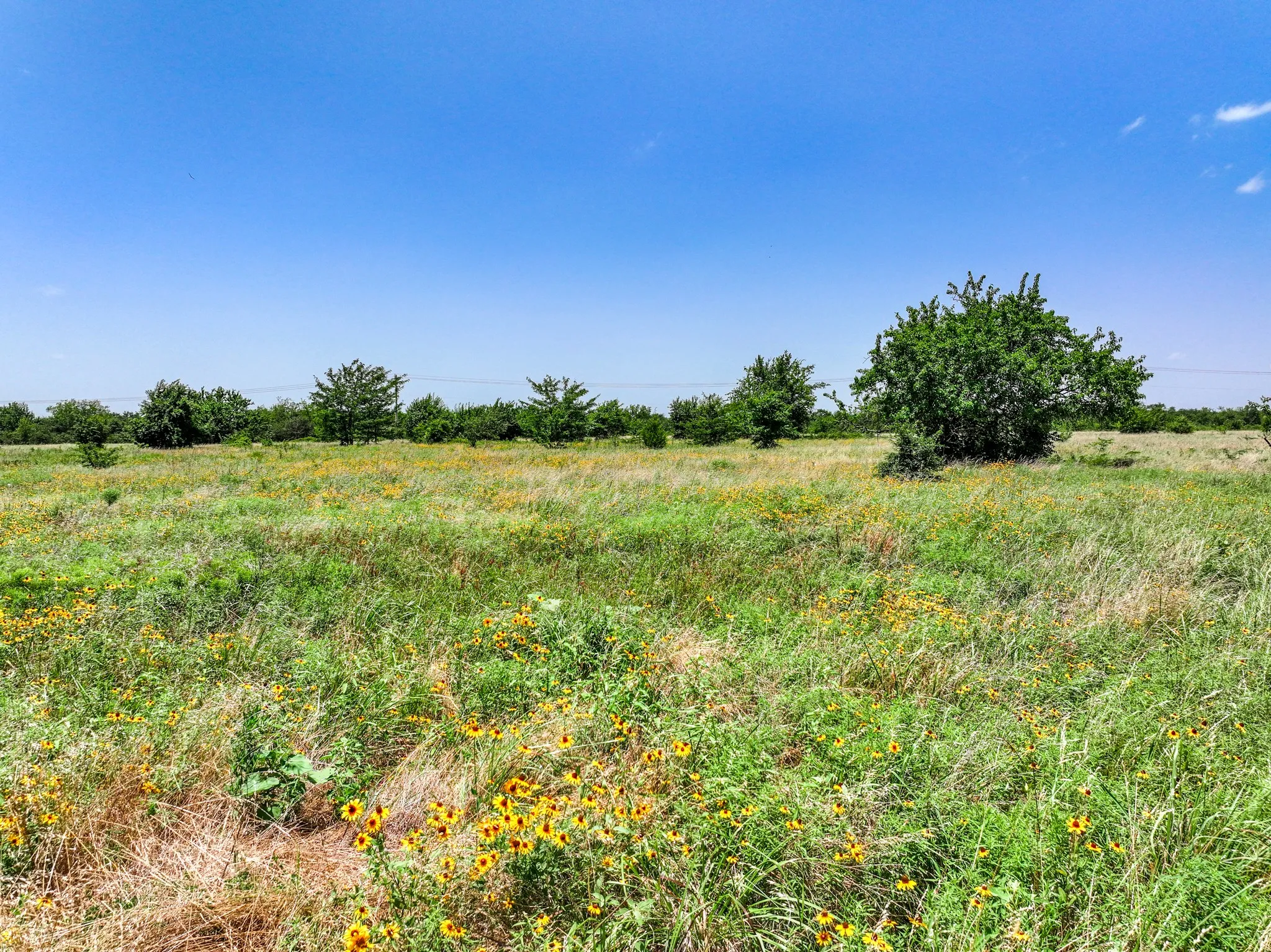 Unimproved Land For Sale in Franklin (TX) County , 0000 W Farm Rd 71 Highway, Talco, Texas 75487, 0, 0, Garage spaces, 0 Sqft, built in 0, mls#21345434, Real Estate Agent in Talco, Homes For Sale in Franklin (TX) county, Homes For Sale in Talco, Realtor in Talco Texas, Real Estate Brokerage Independent Realty Texas, Luminita Cordes Realtor