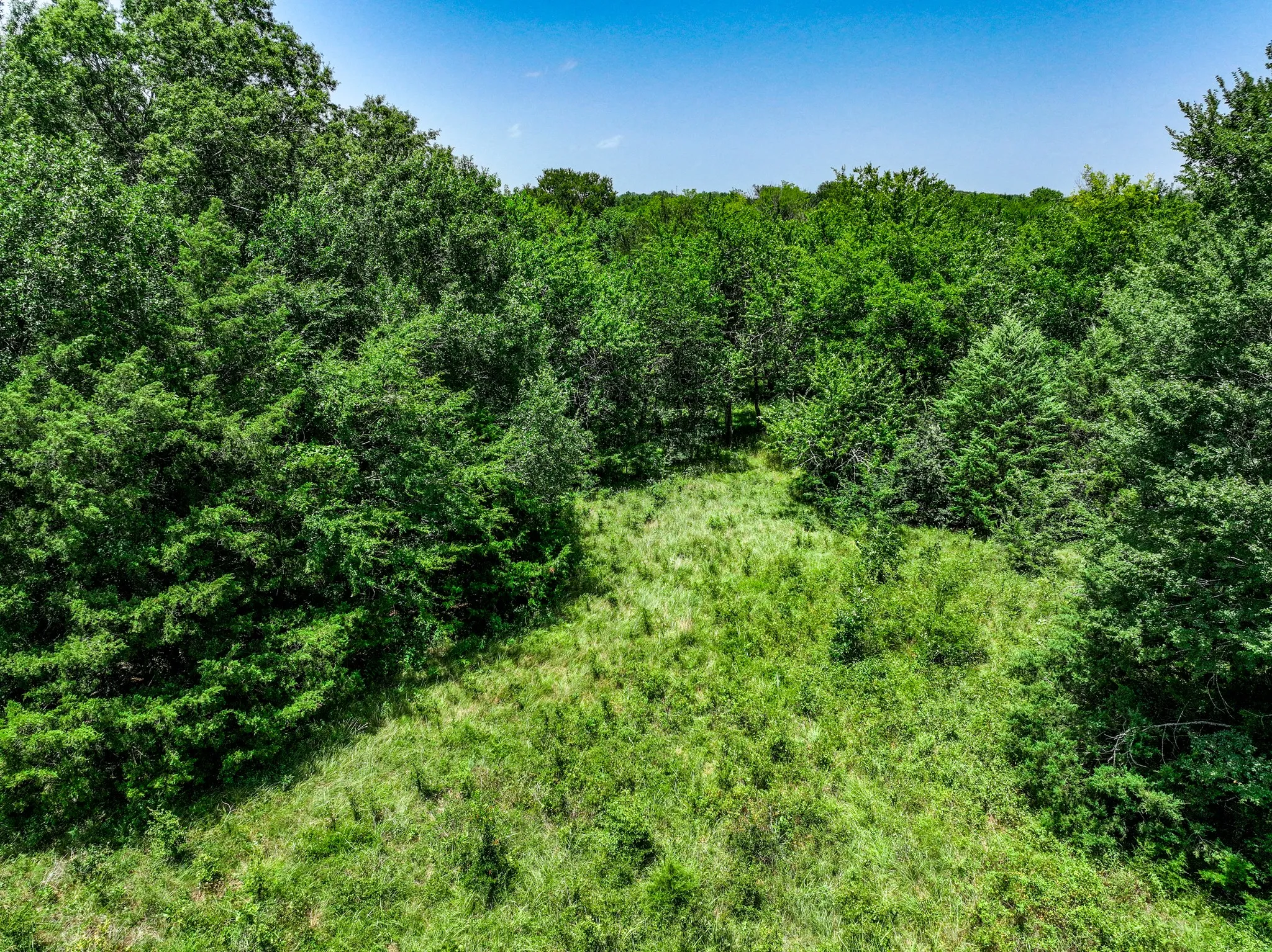 Unimproved Land For Sale in Franklin (TX) County , 0000 W Farm Rd 71 Highway, Talco, Texas 75487, 0, 0, Garage spaces, 0 Sqft, built in 0, mls#21345434, Real Estate Agent in Talco, Homes For Sale in Franklin (TX) county, Homes For Sale in Talco, Realtor in Talco Texas, Real Estate Brokerage Independent Realty Texas, Luminita Cordes Realtor