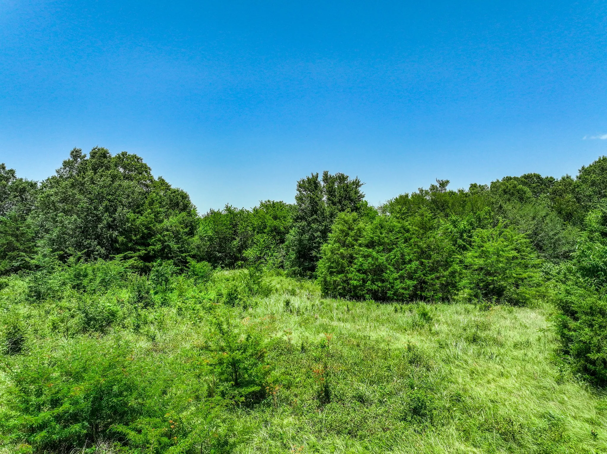 Unimproved Land For Sale in Franklin (TX) County , 0000 W Farm Rd 71 Highway, Talco, Texas 75487, 0, 0, Garage spaces, 0 Sqft, built in 0, mls#21345434, Real Estate Agent in Talco, Homes For Sale in Franklin (TX) county, Homes For Sale in Talco, Realtor in Talco Texas, Real Estate Brokerage Independent Realty Texas, Luminita Cordes Realtor