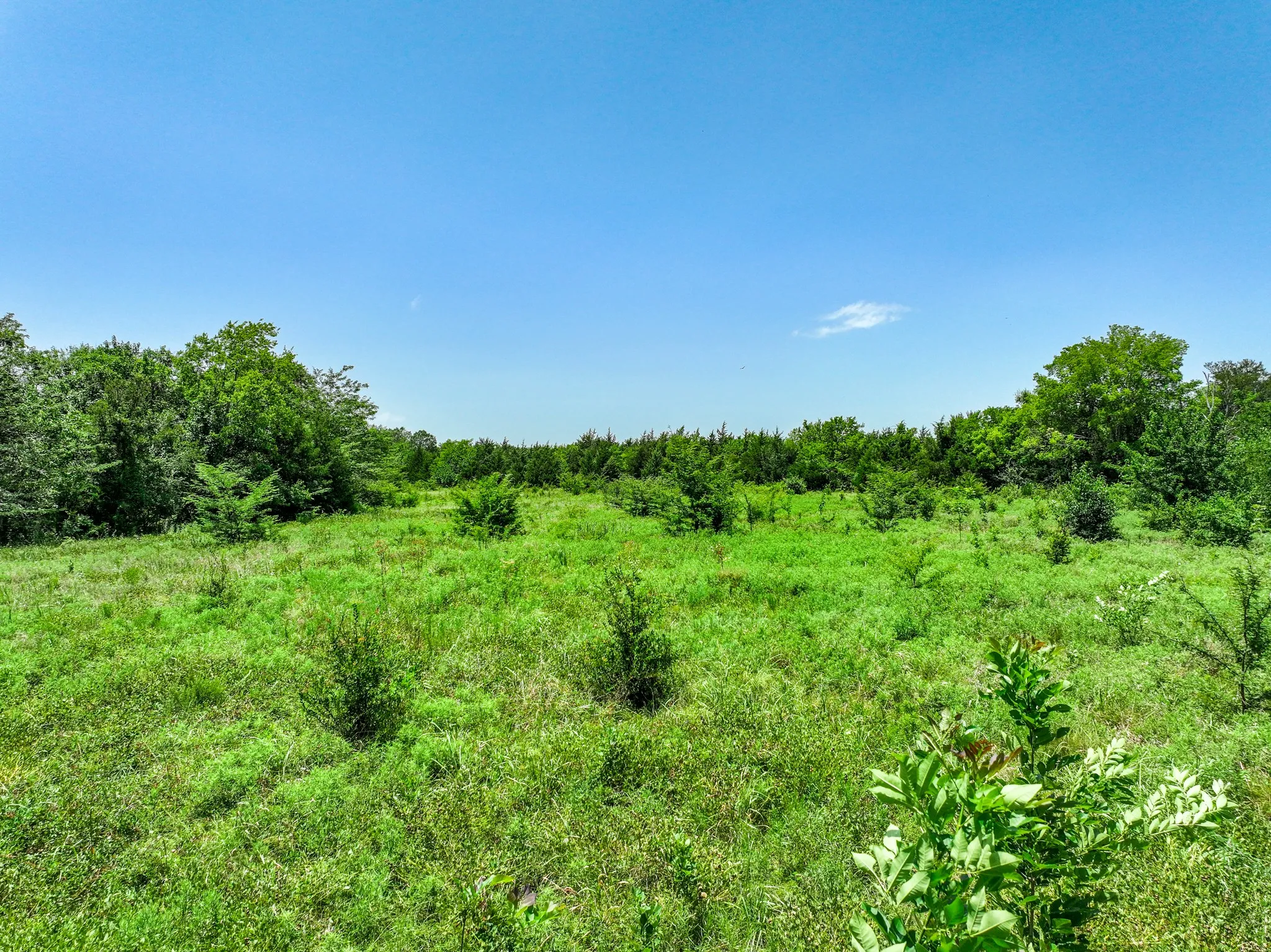 Unimproved Land For Sale in Franklin (TX) County , 0000 W Farm Rd 71 Highway, Talco, Texas 75487, 0, 0, Garage spaces, 0 Sqft, built in 0, mls#21345434, Real Estate Agent in Talco, Homes For Sale in Franklin (TX) county, Homes For Sale in Talco, Realtor in Talco Texas, Real Estate Brokerage Independent Realty Texas, Luminita Cordes Realtor